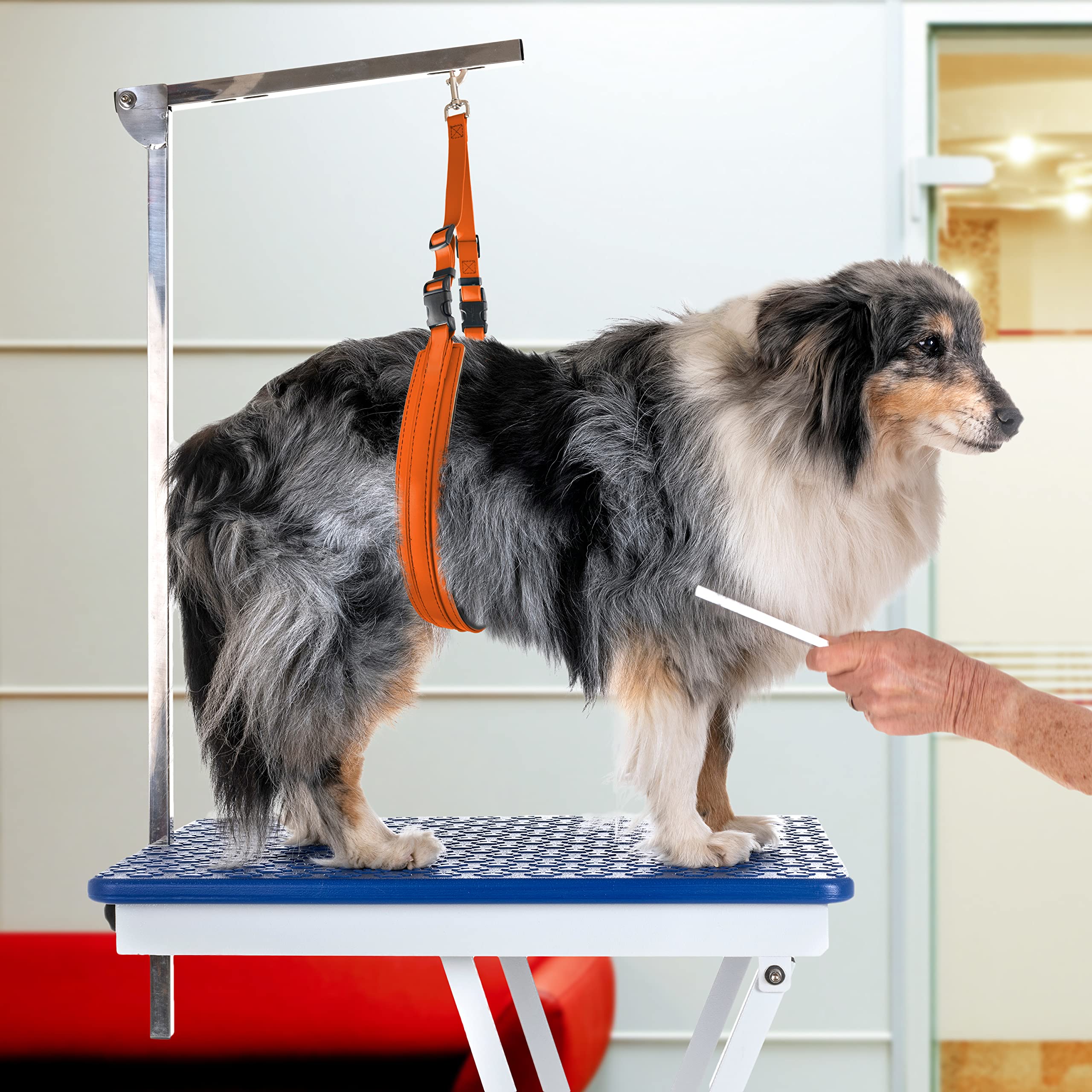 Jelly Pet Dog Belly Loop Restraint For Pet Grooming Table And Tub - Easy To Clean And Waterproof (Royal Blue) | Made In The Usa