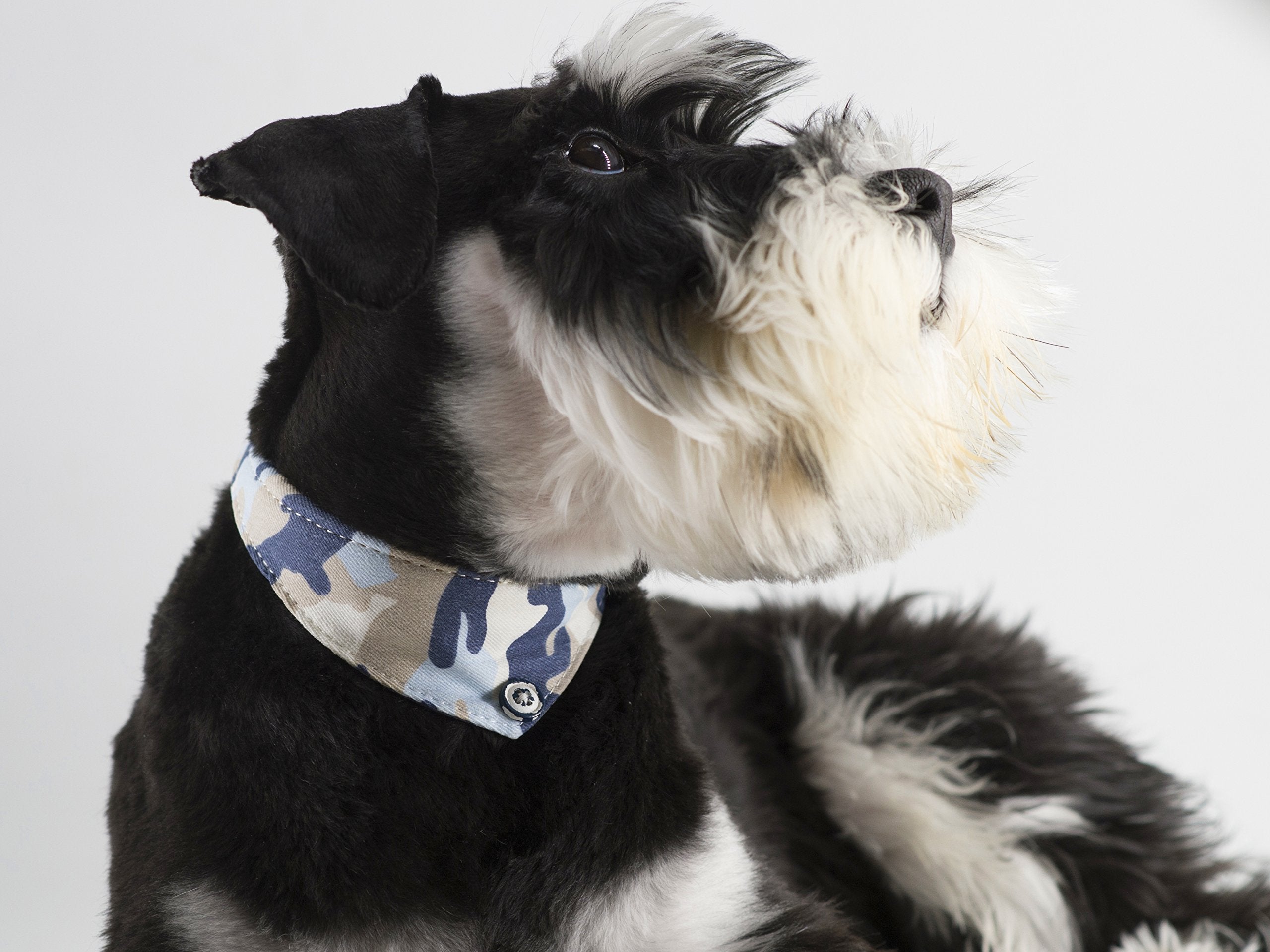 Gyapet Small Dog Collar For Dogs Cat Bow Tie Puppy Kitten Bandana 2Pcs Pu Leather Canvas Scarf Camo Camo-Blue