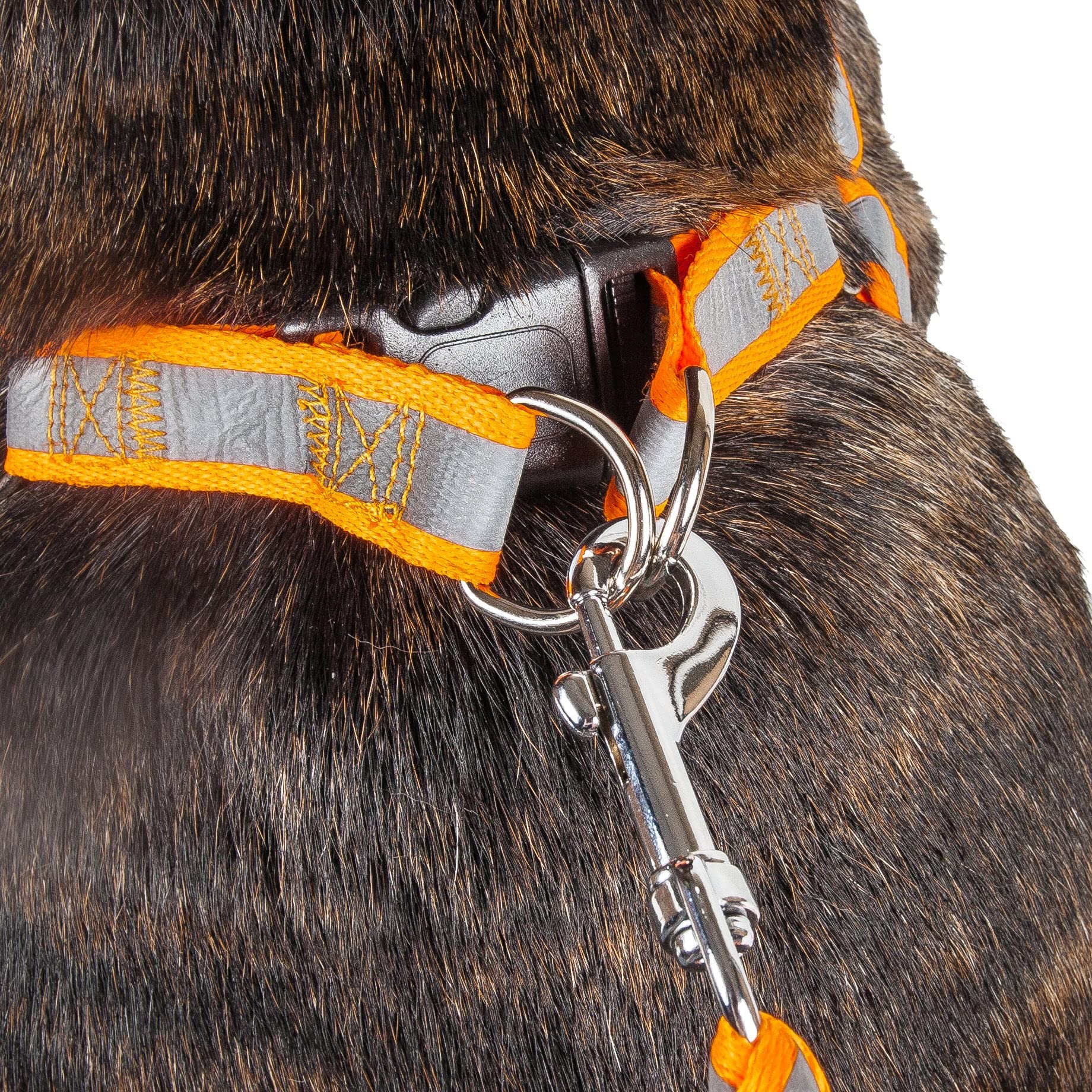 Pet Life  Durable 3M Reflective 2-in-1 Extra Long Pet Leash and Adjustable Dog Harness - Features Thick-Grade Interlocked Reflec
