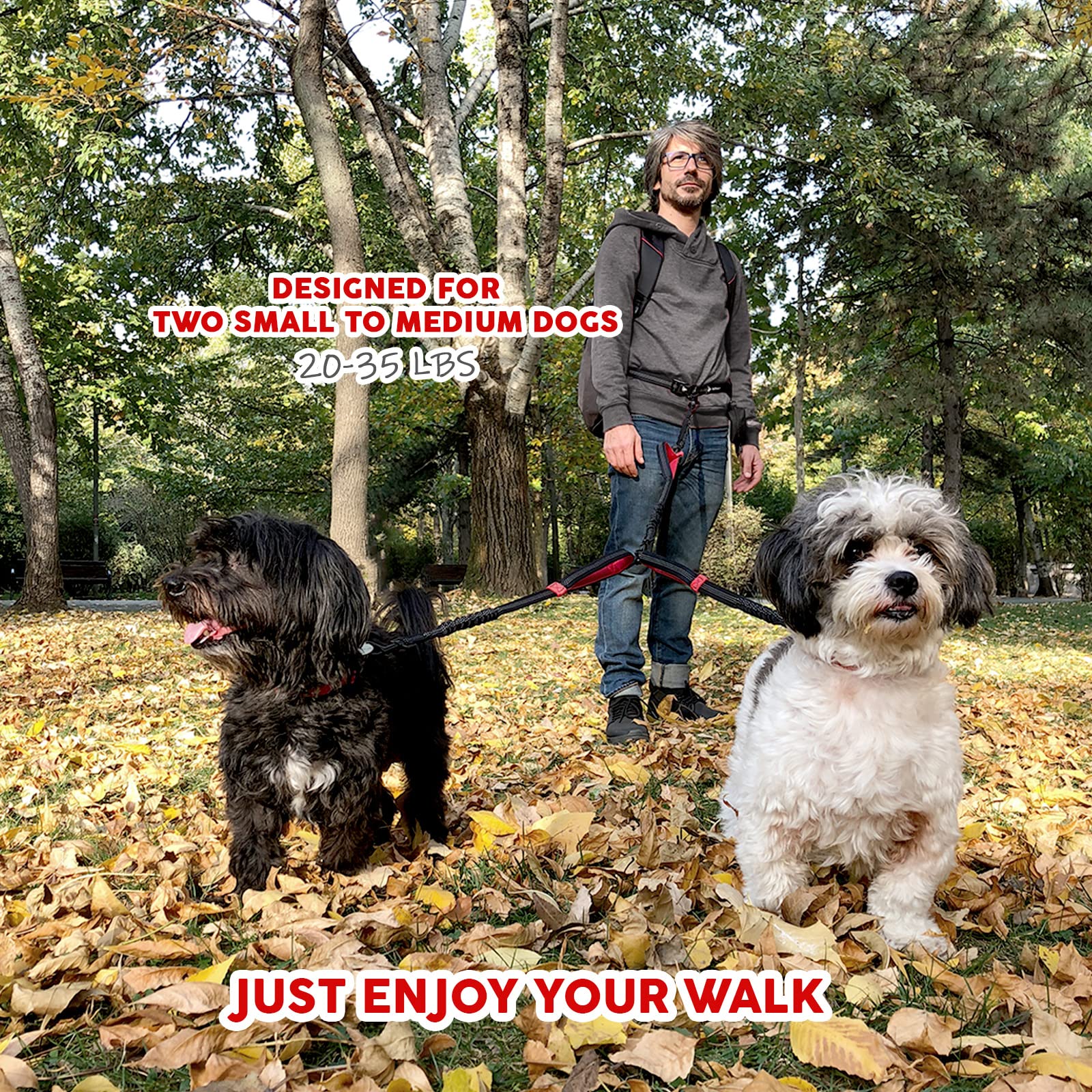 Double Dog Leash For Small Dogs | Two Dog Leash Coupler | 2 Way Dog Leash | Double Hook Dog Leash | Dual Dog Leash Tangle Free Medium Dogs | Split Dog Leash For 2 Dogs | 2 Point Control Dog Leash