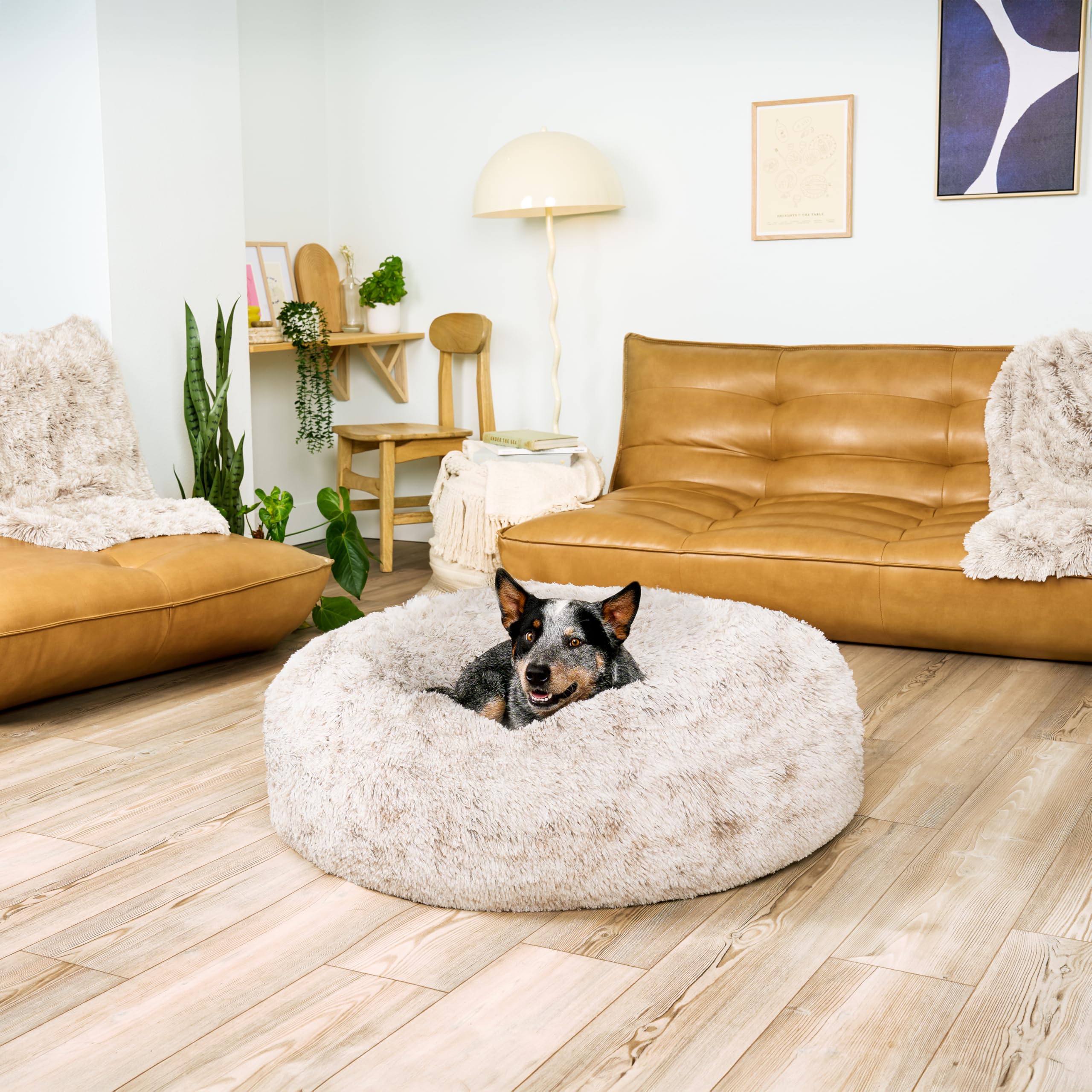 Furhaven 36 Round Calming Donut Dog Bed for Large/Medium Dogs, Refillable w/ Removable Washable Cover, For Dogs Up to 75 lbs - S