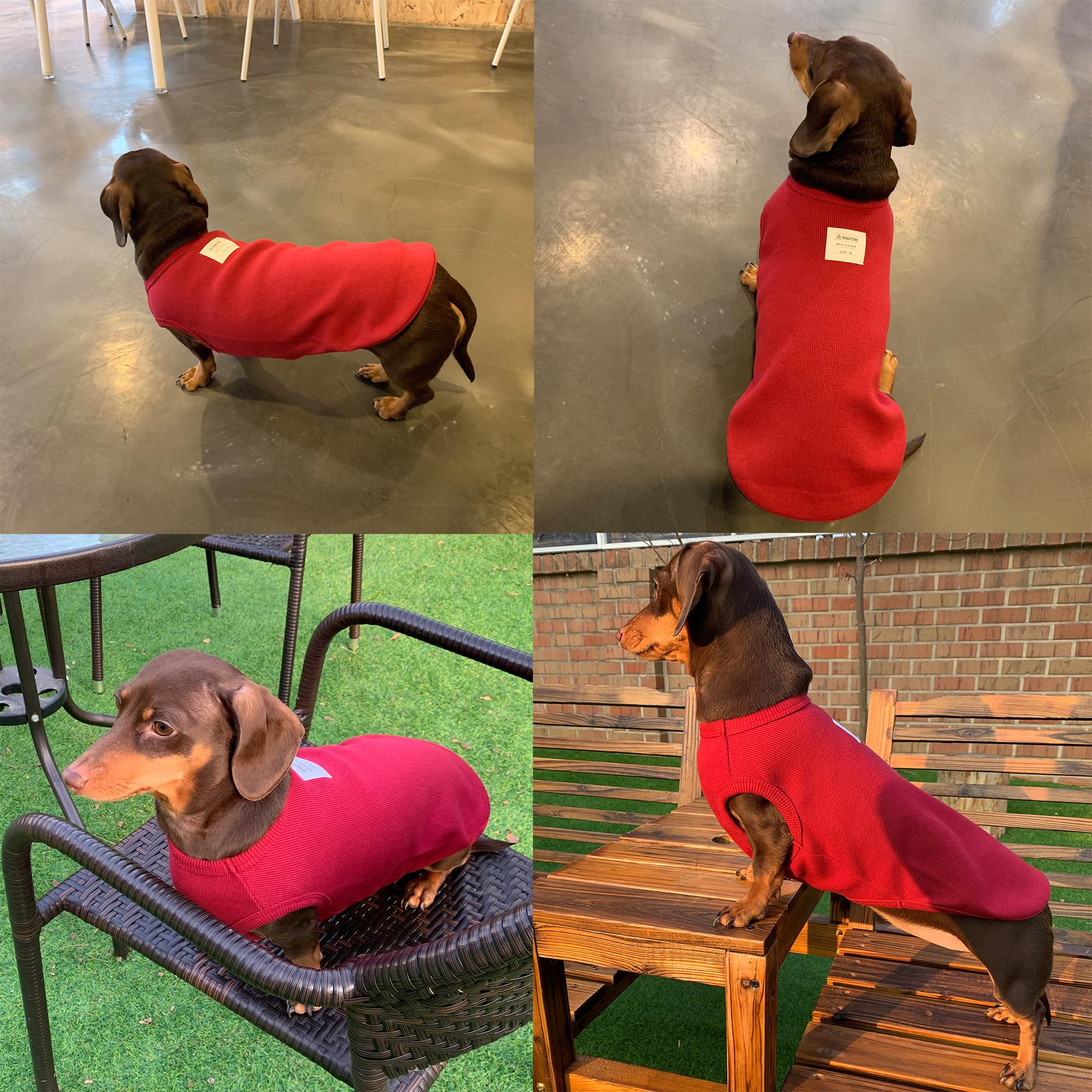 D Doggy Star Dachshund Clothes For Dogs Mini And Adults T Shirts (M,Solid Wine)