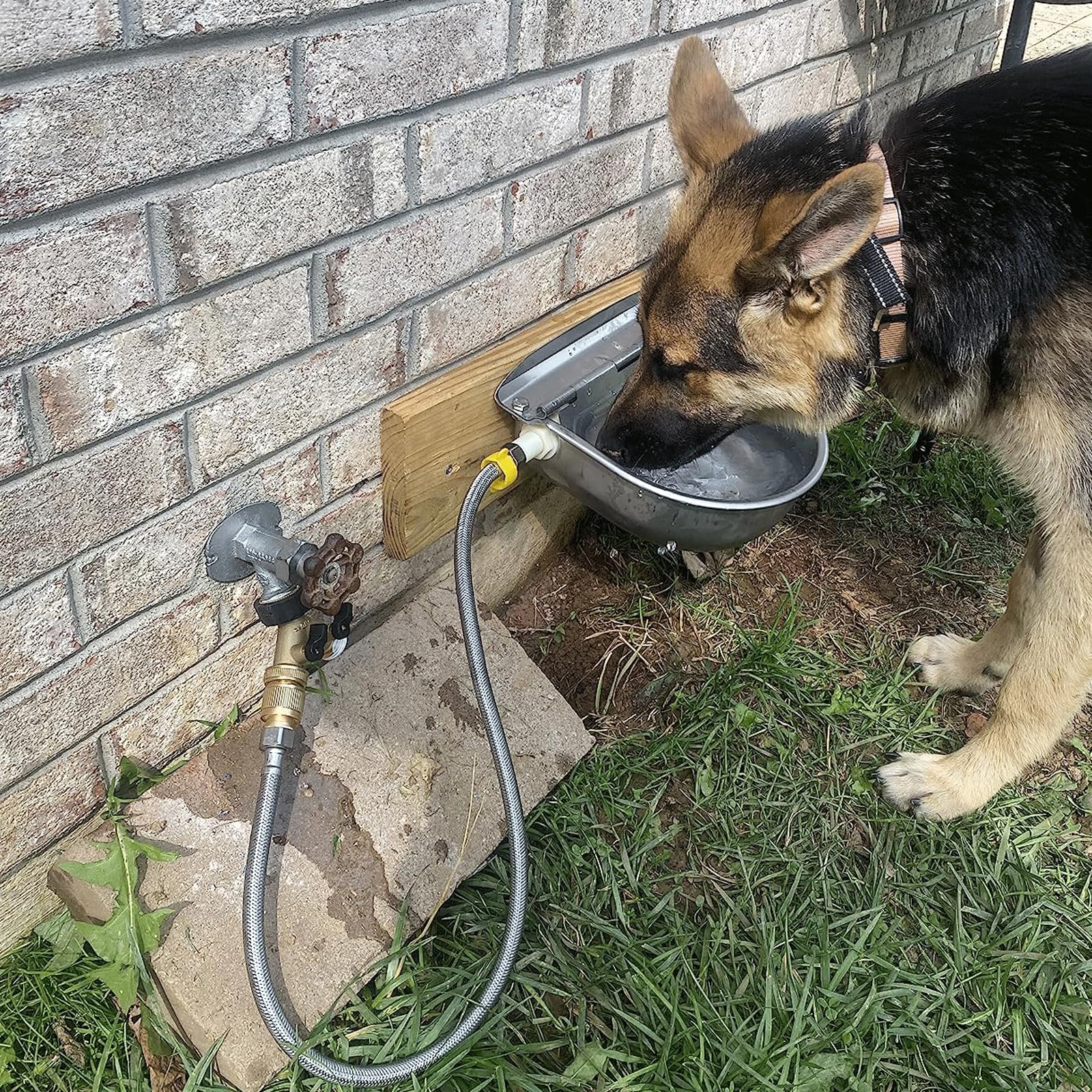 304 Stainless Steel Automatic Livestock Waterer with Float Valve and 39 inch Water Hose(one end 3/4), Automatic Animal Water B