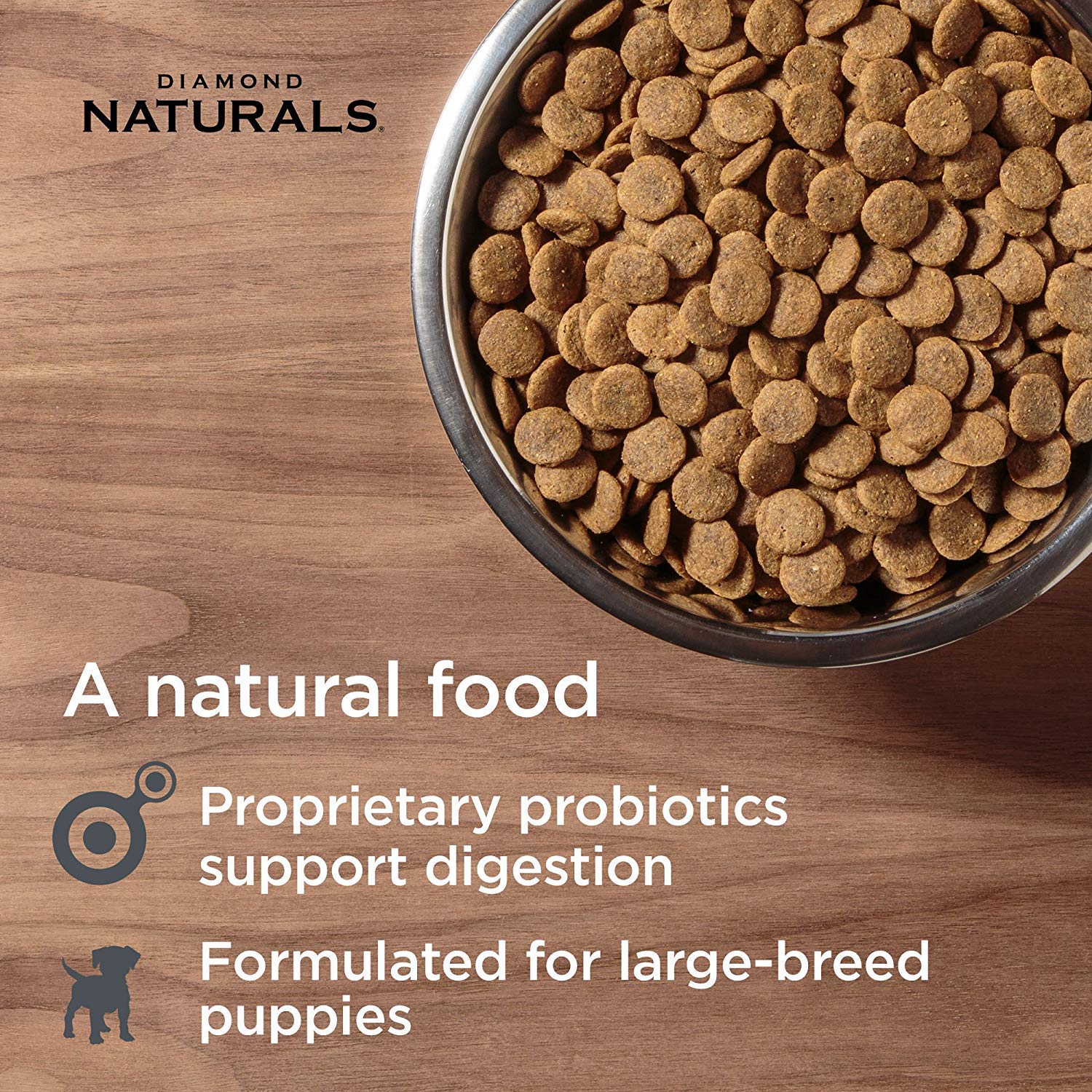 Diamond Naturals Large Breed Puppy Real Lamb Recipe Premium Dry Dog Food, 6 lb