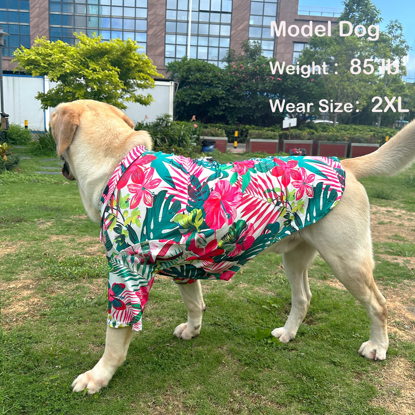 Pripre Hawaii Dog Shirt Colorful Flower Printed T-Shirt Breathable Cool Shirt Summer Beach Style Dog Clothes Medium And Large Do