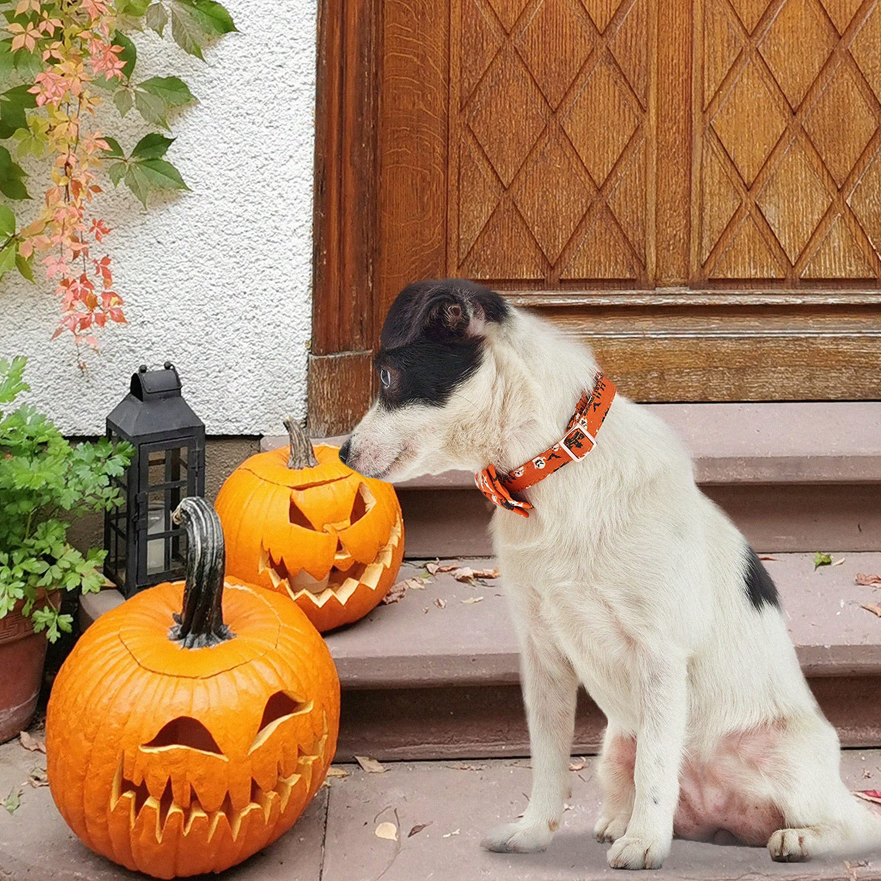 Thankspaw Soft Dog Bow Tie Collar With Classic Stylish Halloween Thanksgiving Christmas Patterns Adjustable Pet Collars For Small Medium Large Dogs