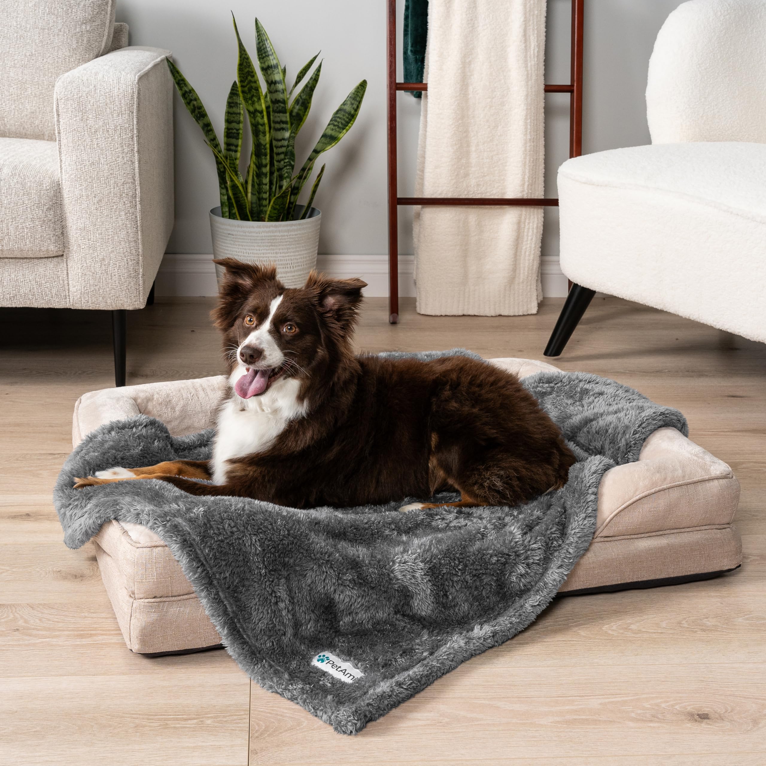 Petami Dog Blanket For Small Dogs Grey, Fluffy Soft Puppy Blanket, Sherpa Fleece Cat Blanket For Kitten Doggie, Calming Pet Blanket Throw For Couch Sofa Bed Washable, Small 24X32