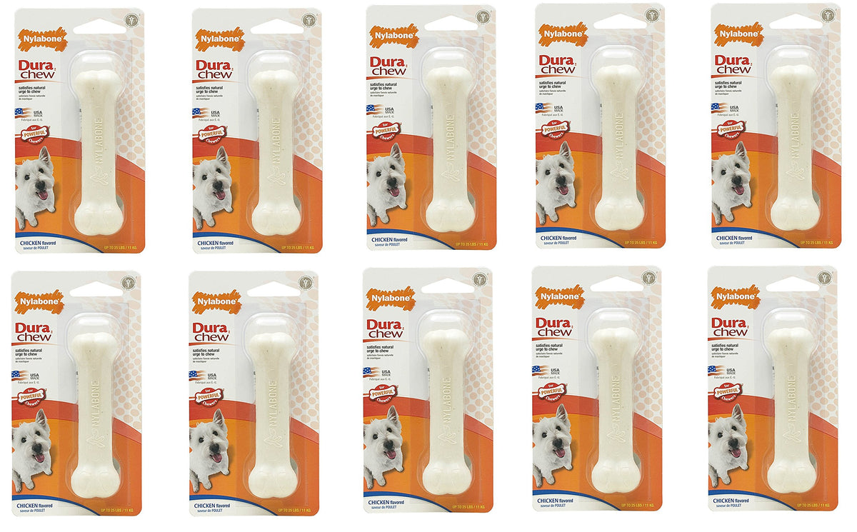 (10 Pack) Nylabone Dura Chew Chicken Flavored Bone Dog Chew Toy - Size Regular