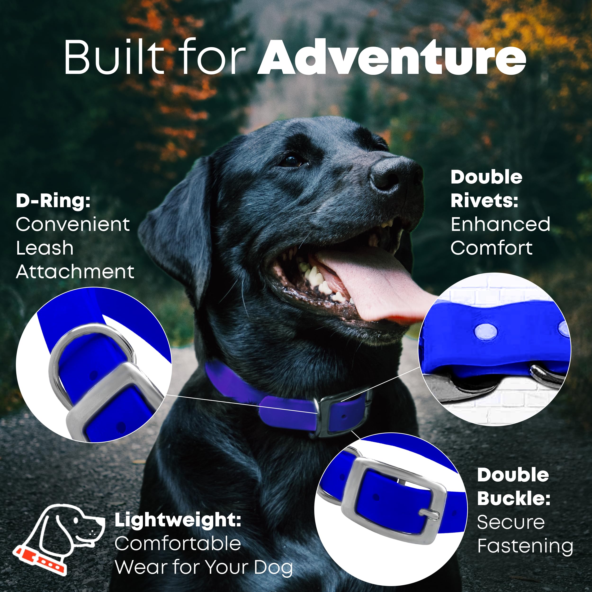 Regal Dog Products Medium Blue Dog Collar With Heavy Duty Double Buckle & D Ring | Vinyl Coated, Custom Fit, Adjustable Biothane