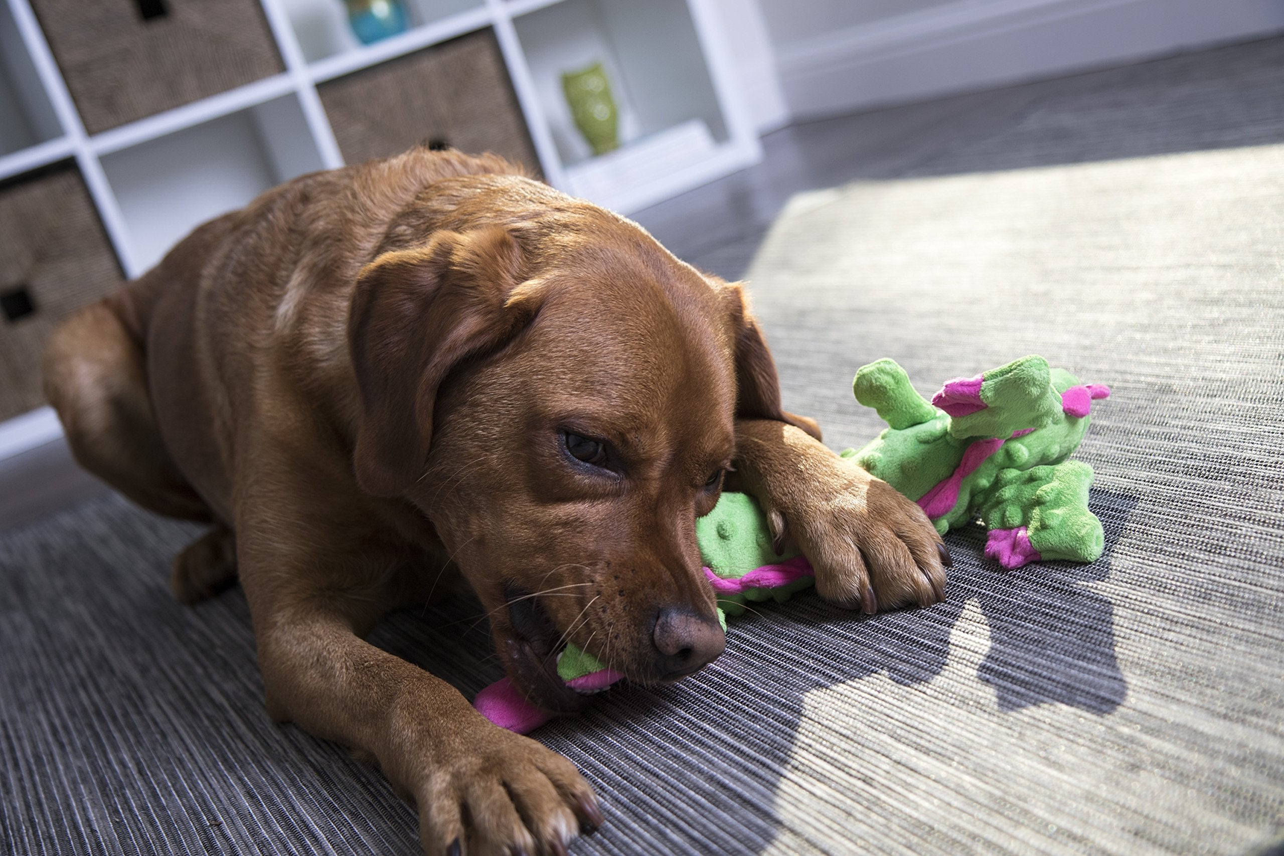 goDog Squeaky Plush Dog Toy, Chew Guard Technology, Large, Green, Bubble Plush Skinny Dragon