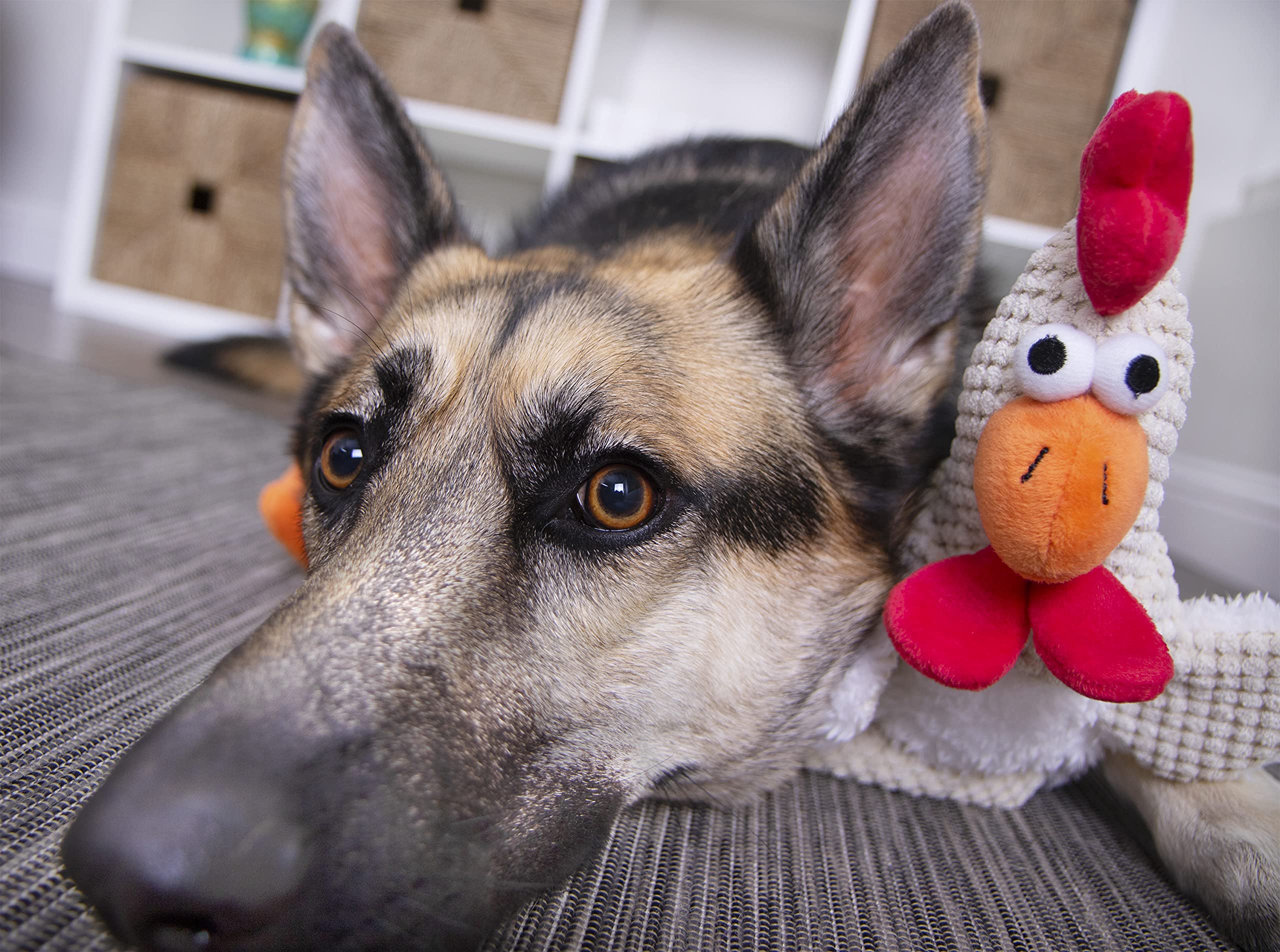 goDog Checkers Skinny Rooster Squeaky Plush Dog Toy, Chew Guard Technology - White, Large