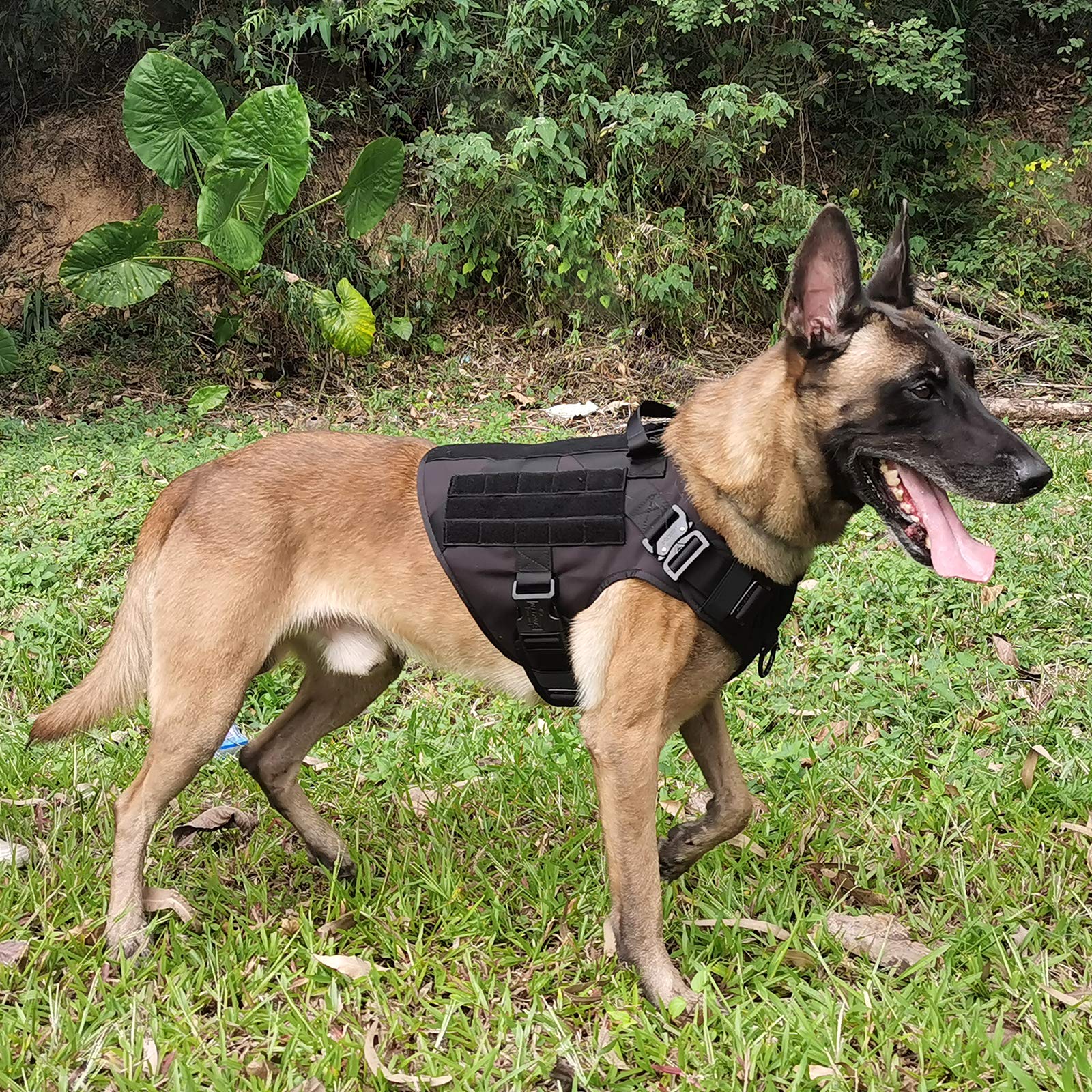 Icefang Tactical Dog Harness,Large Size, 2X Metal Buckle,Working Dog Molle Vest With Handle,No Pulling Front Leash Clip,Hook And