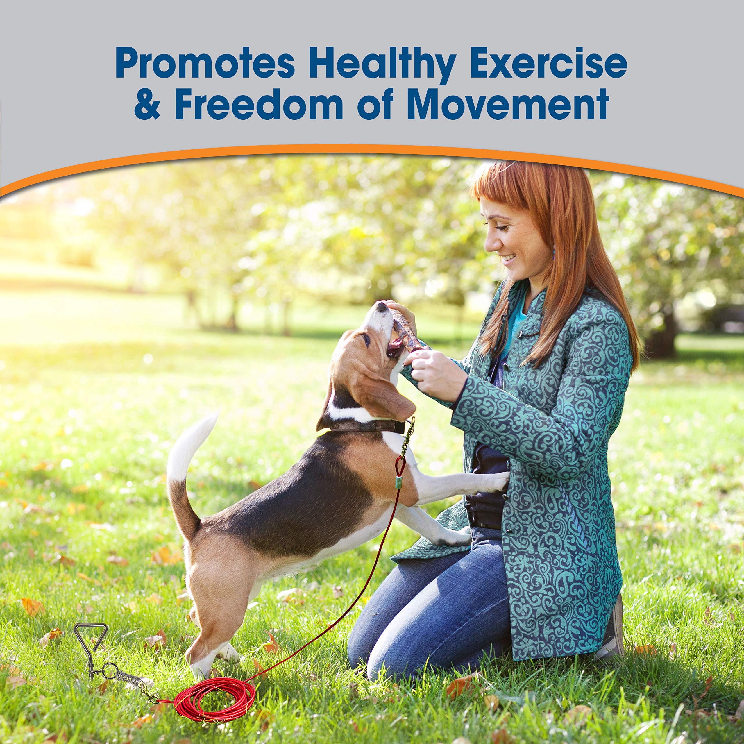 Four Paws Medium Weight Dog Tie Out Cable