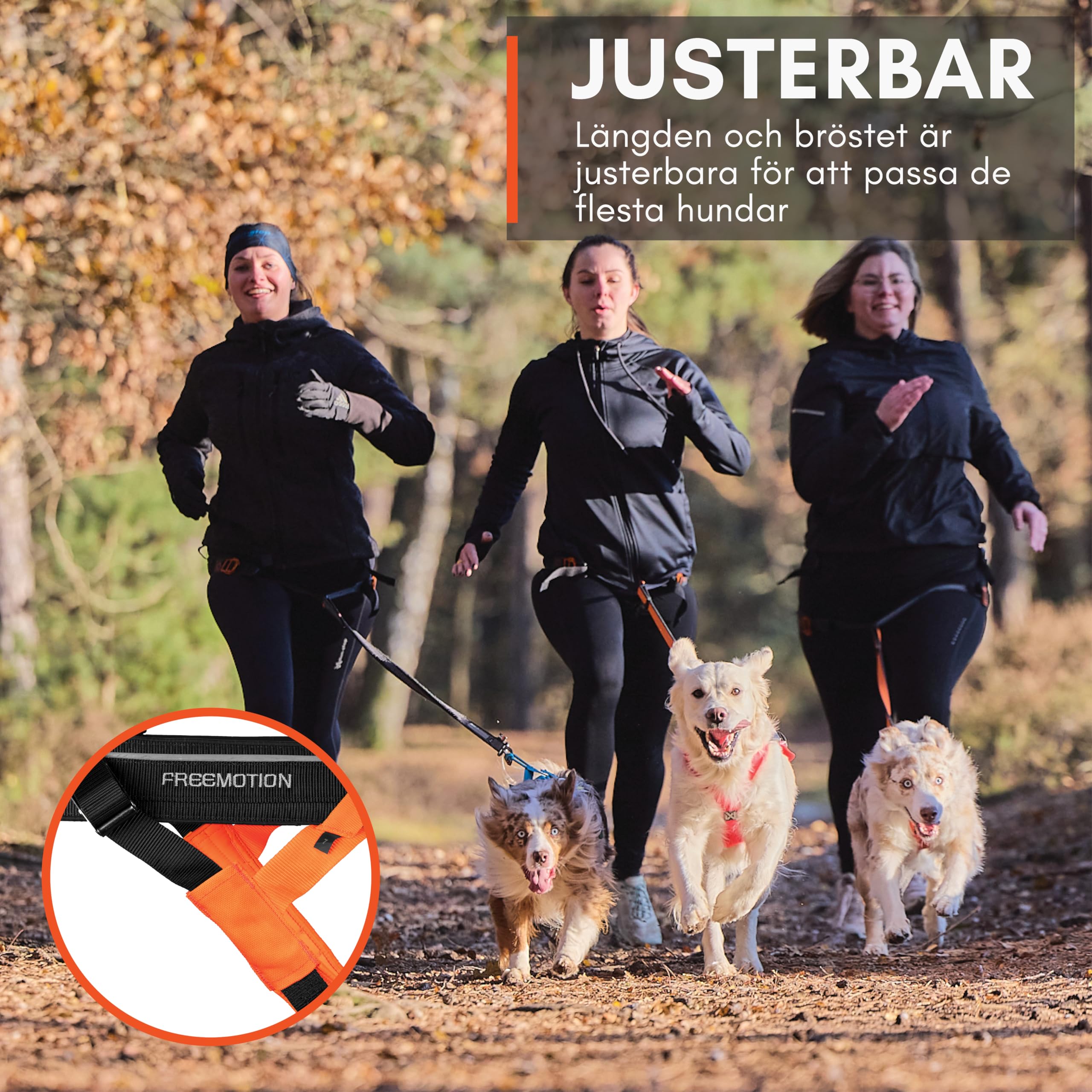 Non-Stop Dogwear Freemotion Harness 5.0 Dog Pulling Harness For Sports Like Running, Biking And Skiing With Dogs, Professional Adjustable Dog Harness, Orange/Black, Size 6