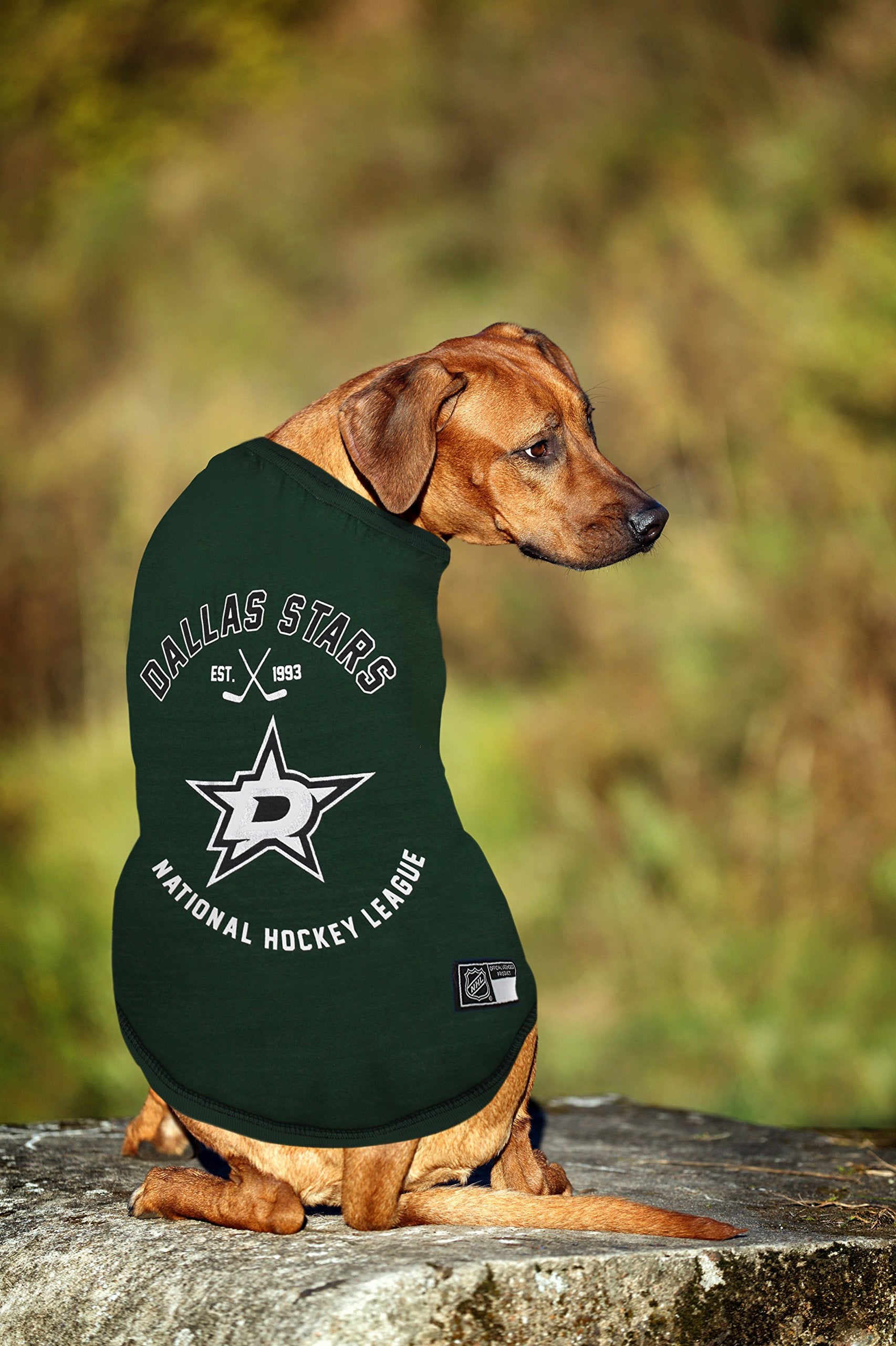 NHL Dallas Stars Tee Shirt for Dogs & Cats, Medium. - Are You A Hockey Fan? Let Your Pet Be An NHL Fan Too!