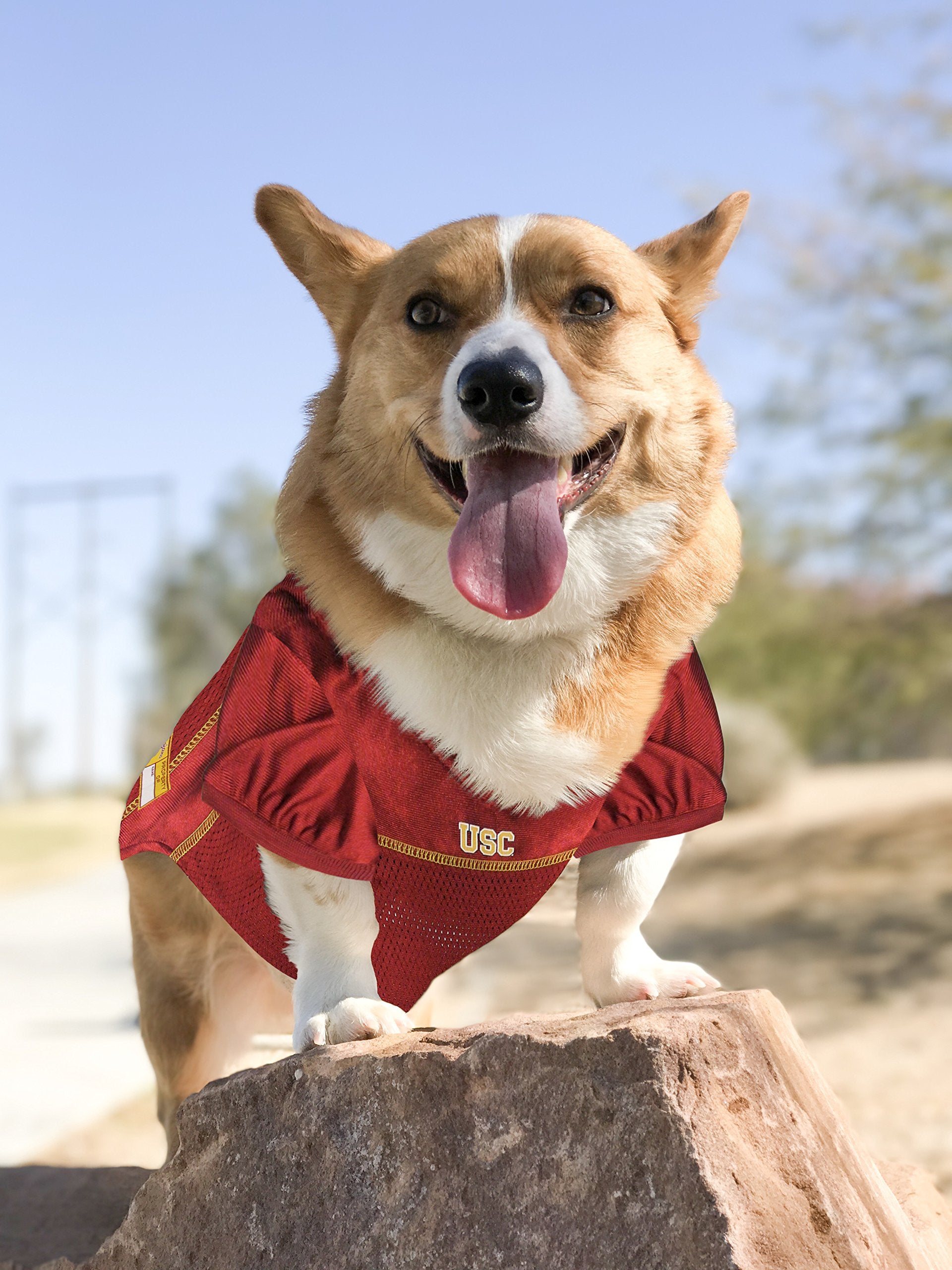 Pets First NCAA College USC Trojans Mesh Jersey for DOGS & CATS, Large. Licensed Dog Jersey with your Favorite Football/Basketba