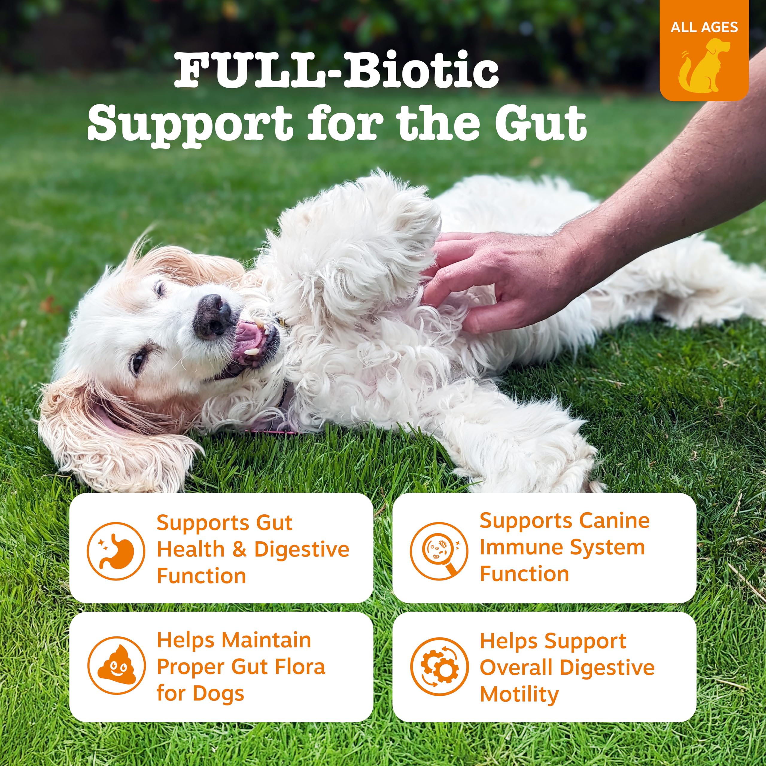 Zesty Paws Vet Strength Probiotics for Dogs, Digestive Health & Gut Flora Support, Dog Supplements, 90 Count