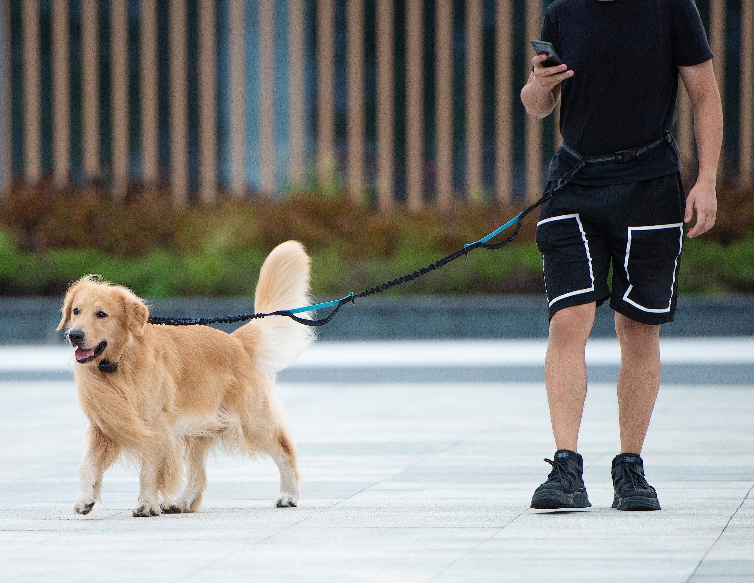 Iyoshop Retractable Hands Free Dog Leash ?Dual Handle Bungee Waist Leash For Small Medium And Large Large Dogs (25-150 Lbs)