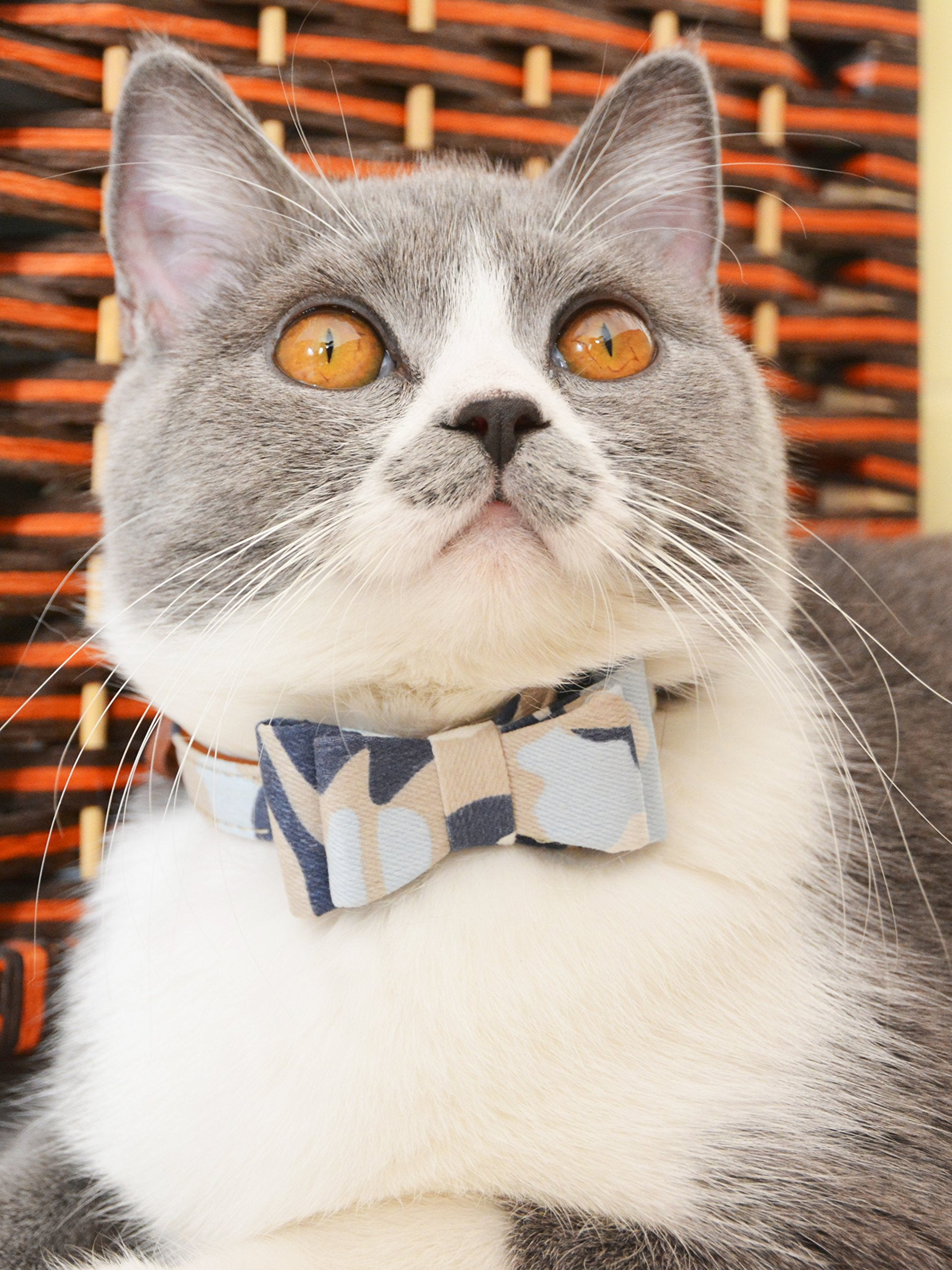 Gyapet Small Dog Collar For Dogs Cat Bow Tie Puppy Kitten Bandana 2Pcs Pu Leather Canvas Scarf Camo Camo-Blue