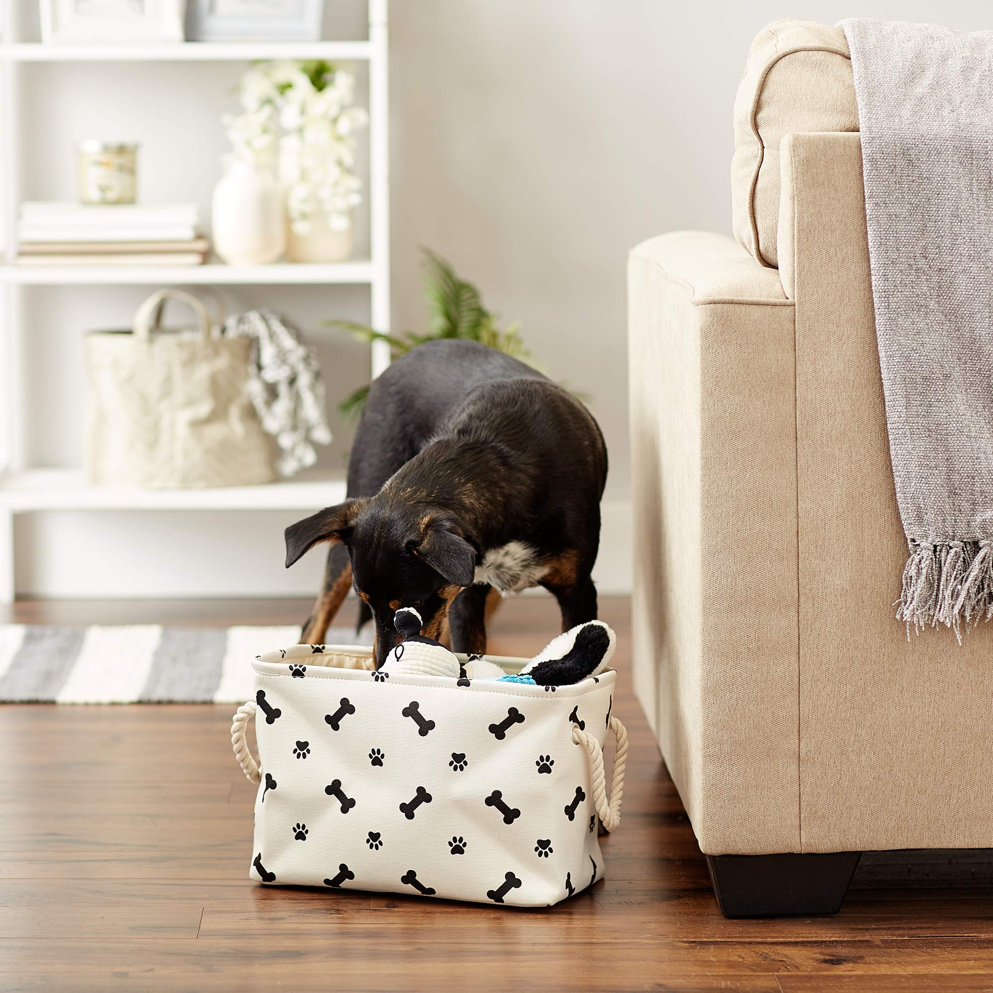 Bone Dry Pet Storage Collection Paw and Bone Print, Small Rectangle, 14x8x9, Black