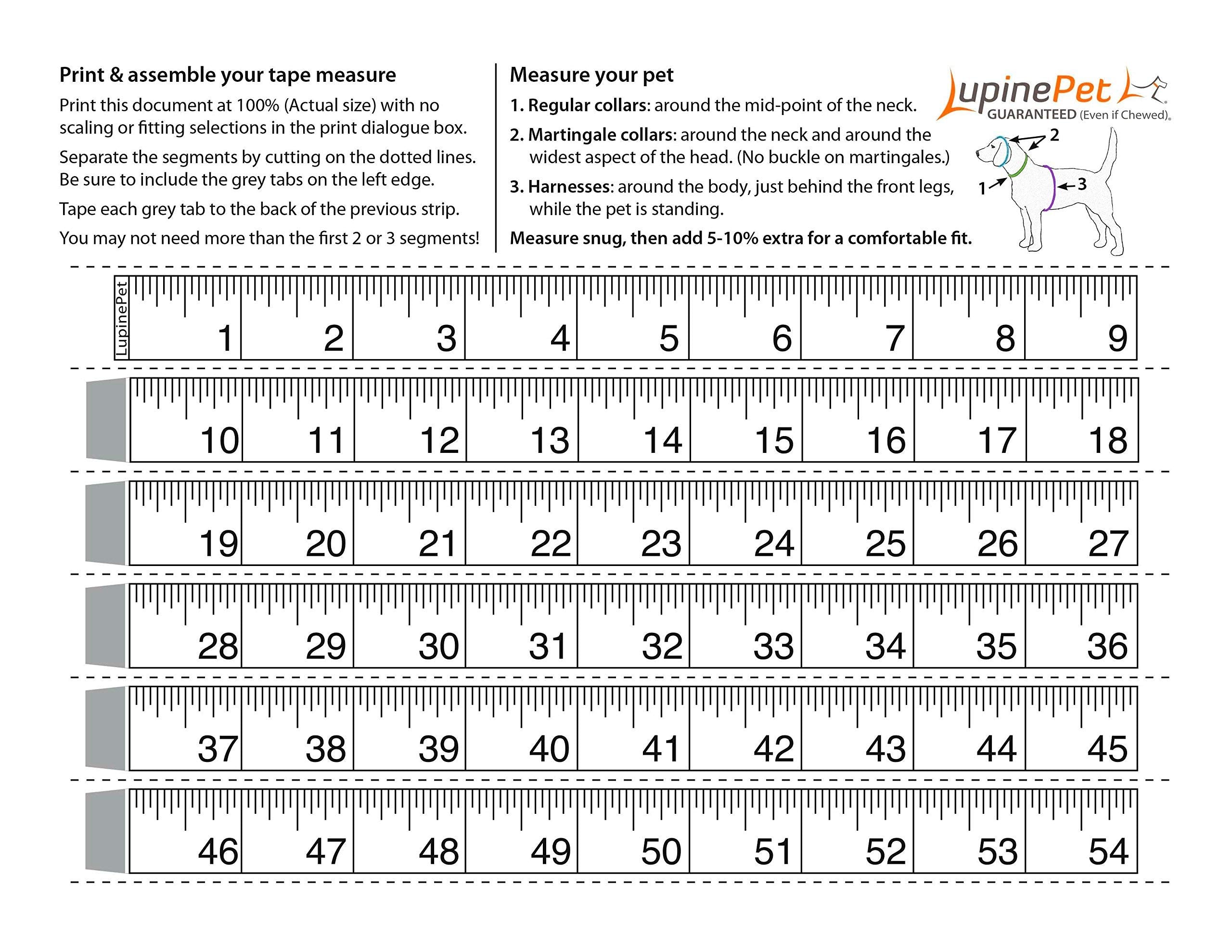 Lupinepet Basics 1' Blaze Orange 24-38' Step In Harness For Large Dogs