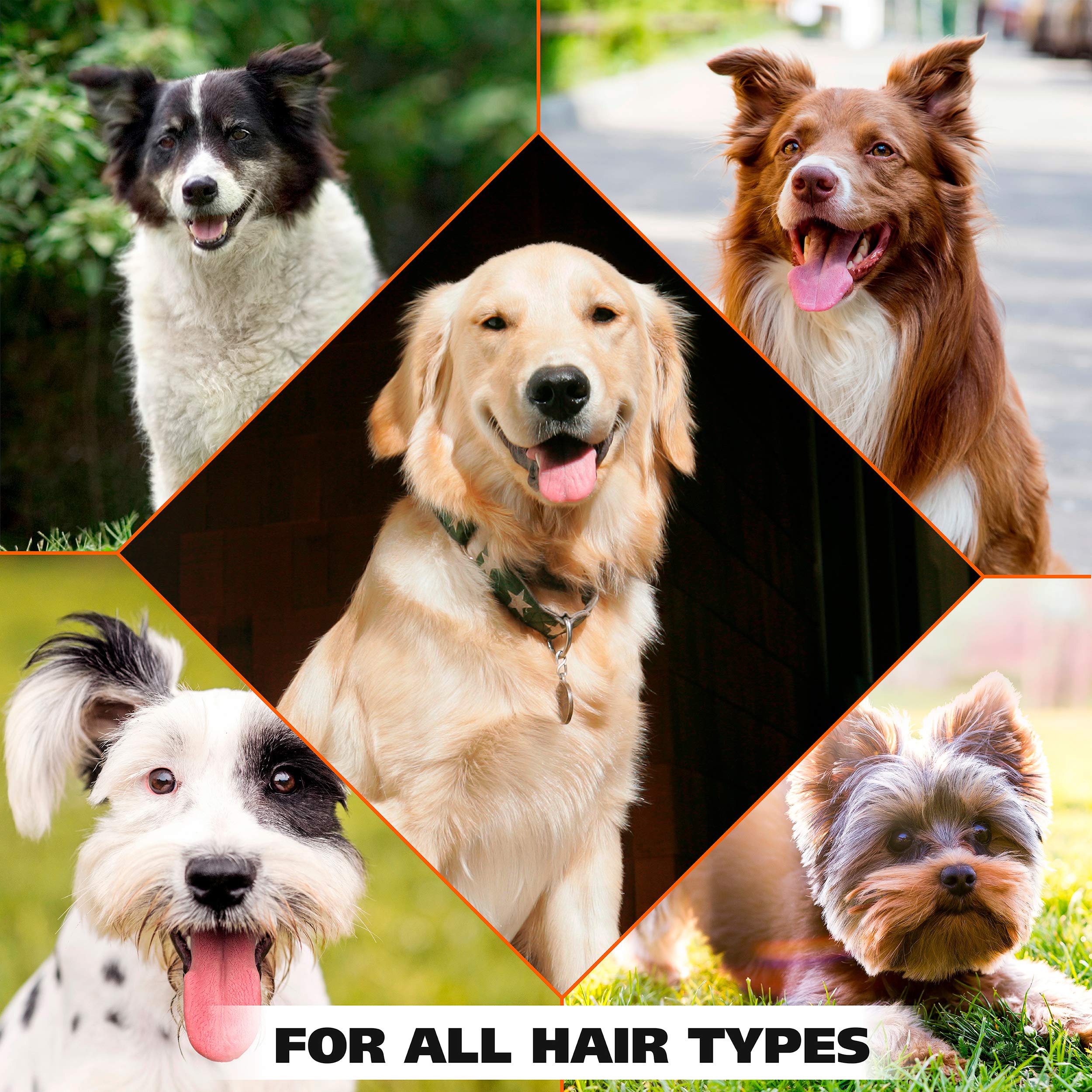 Wahl Usa Cornflower Aloe Pet Deodorant Spray For All Dogs & Cats – Clean Fresh Smell Refreshes & Deodorizes – 8 Oz - Model 820009A