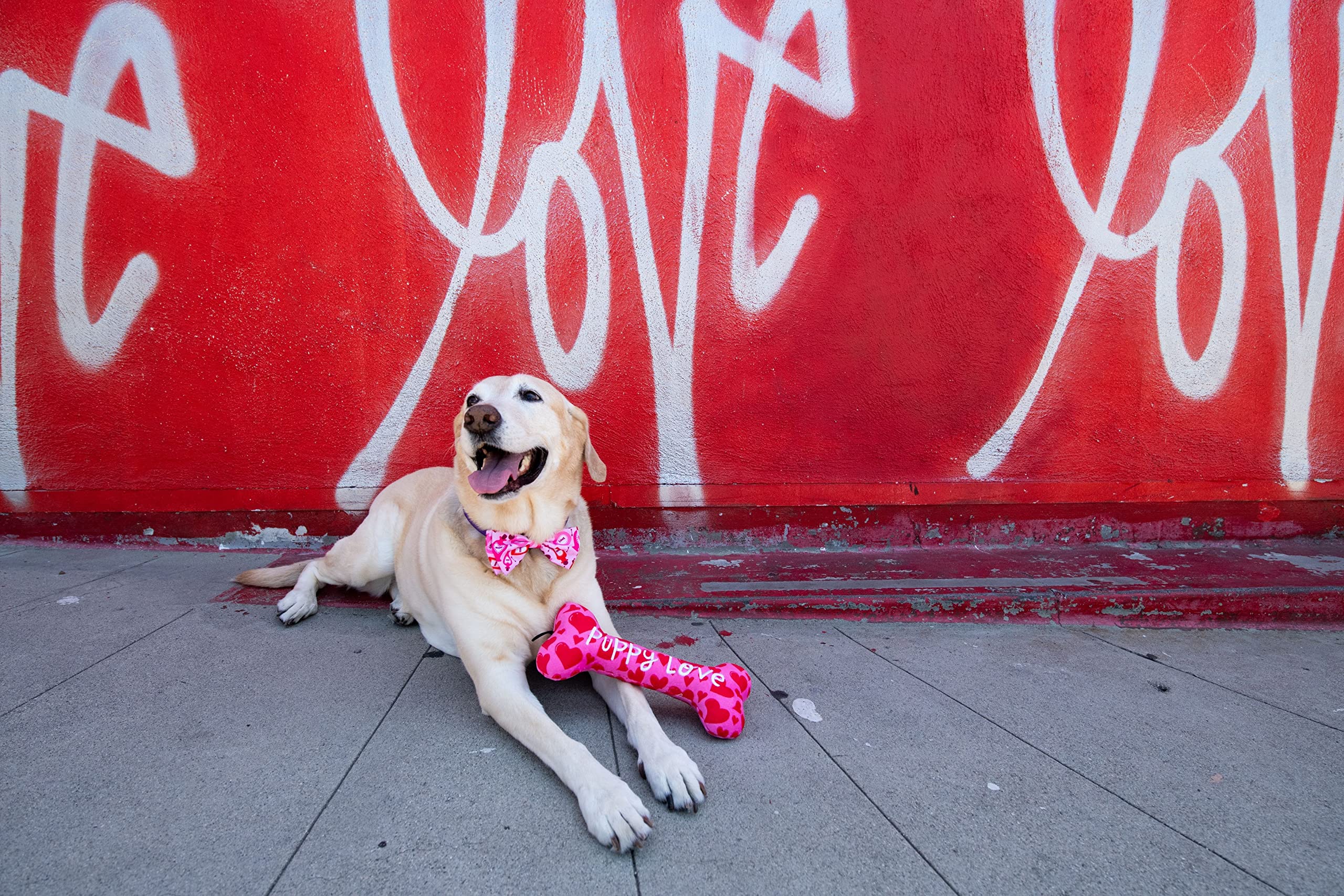 Huxley & Kent For Dogs | My Puppy Love Bone (Small) | Valentine'S Day Funny Dog Toy | Power Plush Dog Toy With Squeaker | Dog Gi