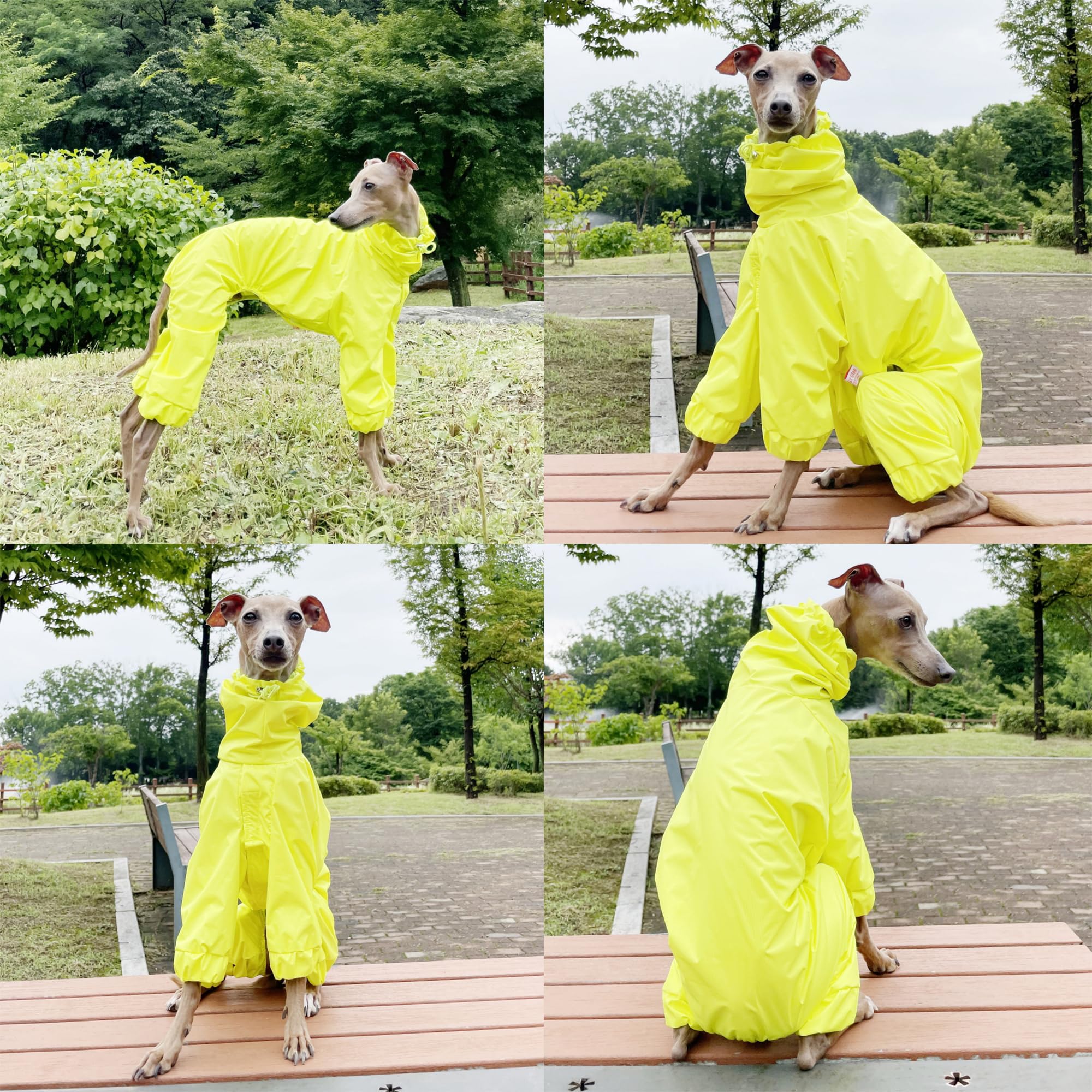 D Doggy Star Italian Greyhound Raincoat Waterproof Jacket Windbreaker Clothes Whippet For Dog (L,Raincoat Yellow)