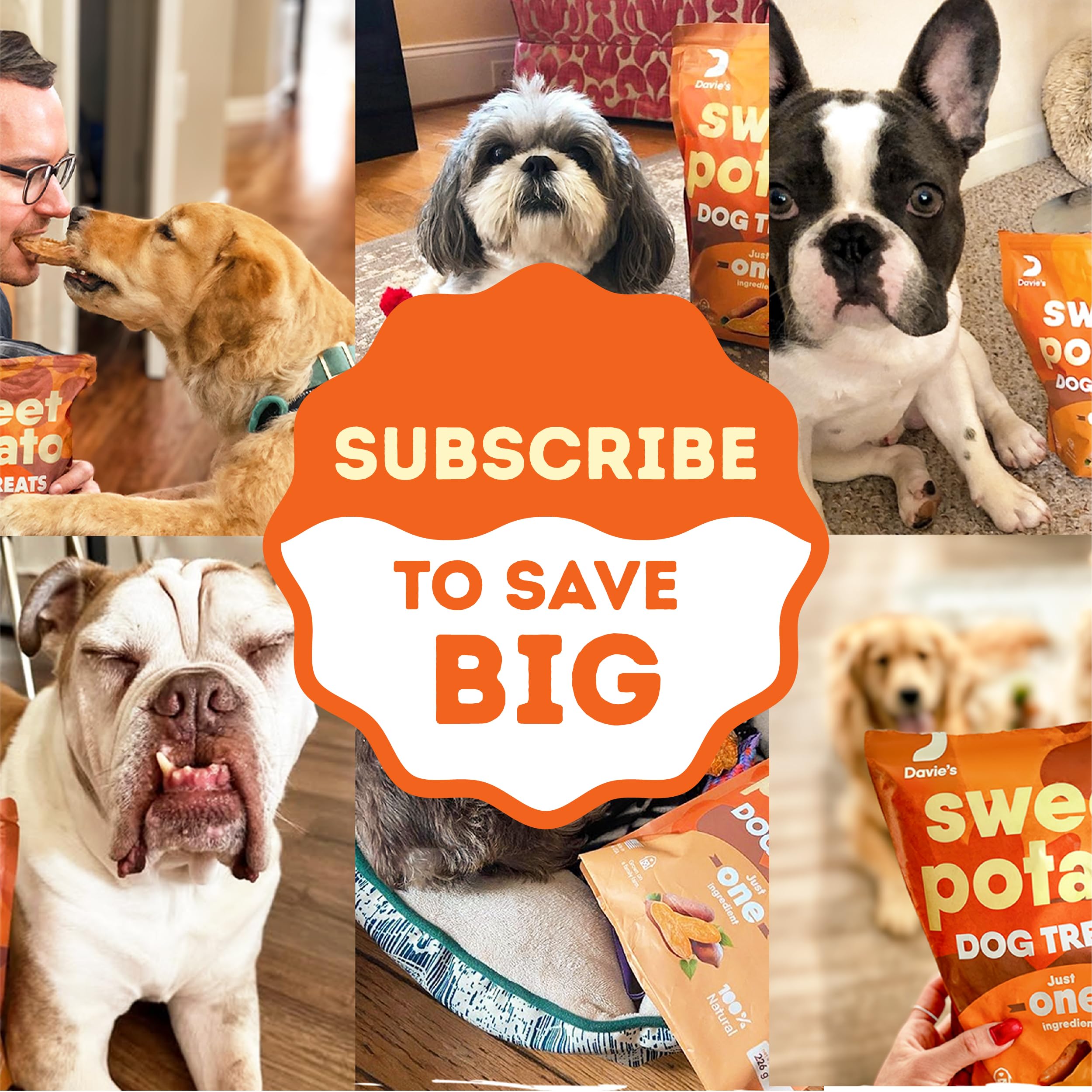 Davies Sweet Potato Dog Treats - Healthy Dog Chews, Low Fat, Made in USA, 1 lb Bag - Pack of 5
