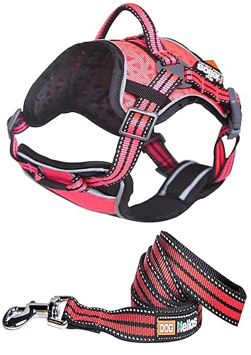 DOGHELIOS 'Journey Wander' Chest Compressive Sporty Adjustable Travel Pet Dog Harness and Leash Combination, Medium, Pink