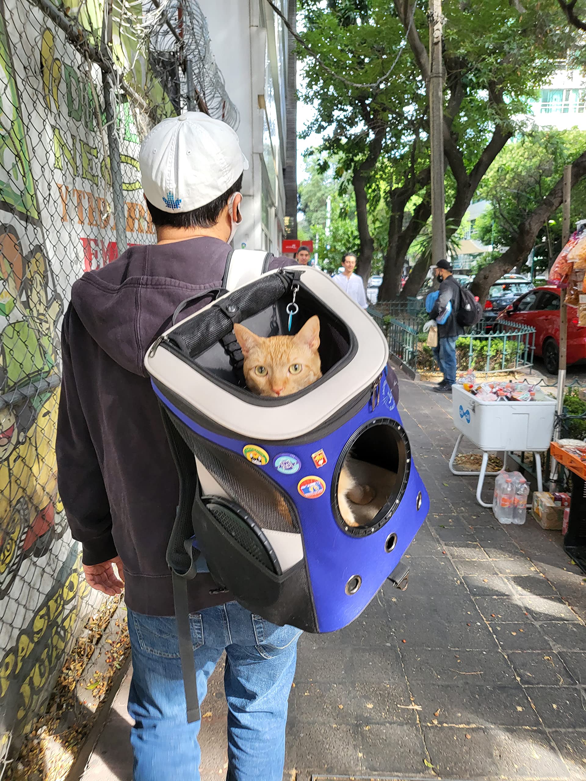 Your Cat Backpack Carrier Bag - Jackson Galaxy Airline Approved Cat Carrier With Space Capsule Bubble For Small Cats, Kitten - Premium Cat Carrier Backpack For Outdoor, Travel, Hiking, Pet Supplies