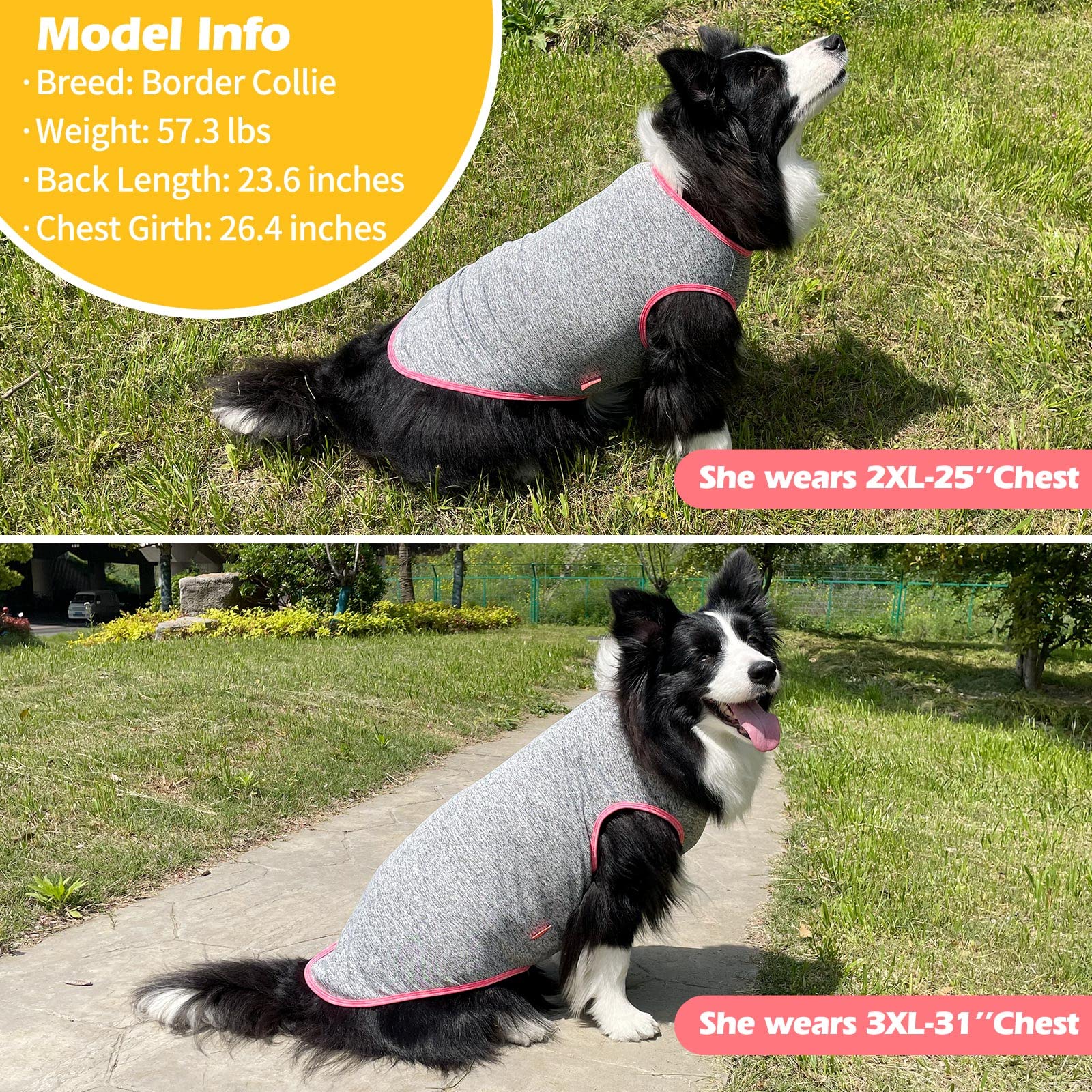 Kyeese 2 Pack Dog Shirts Quick Dry Soft Stretchy Dog T-Shirts With Reflective Label Tank Top Sleeveless Vest Sun Protection Pet