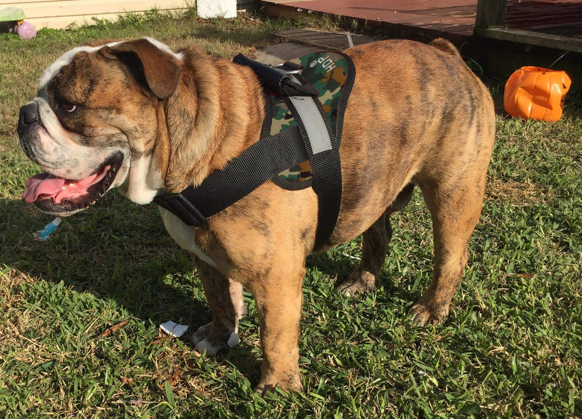 Hdp Big Dog Soft No Pull Harness Size:Xlarge Color:Camo
