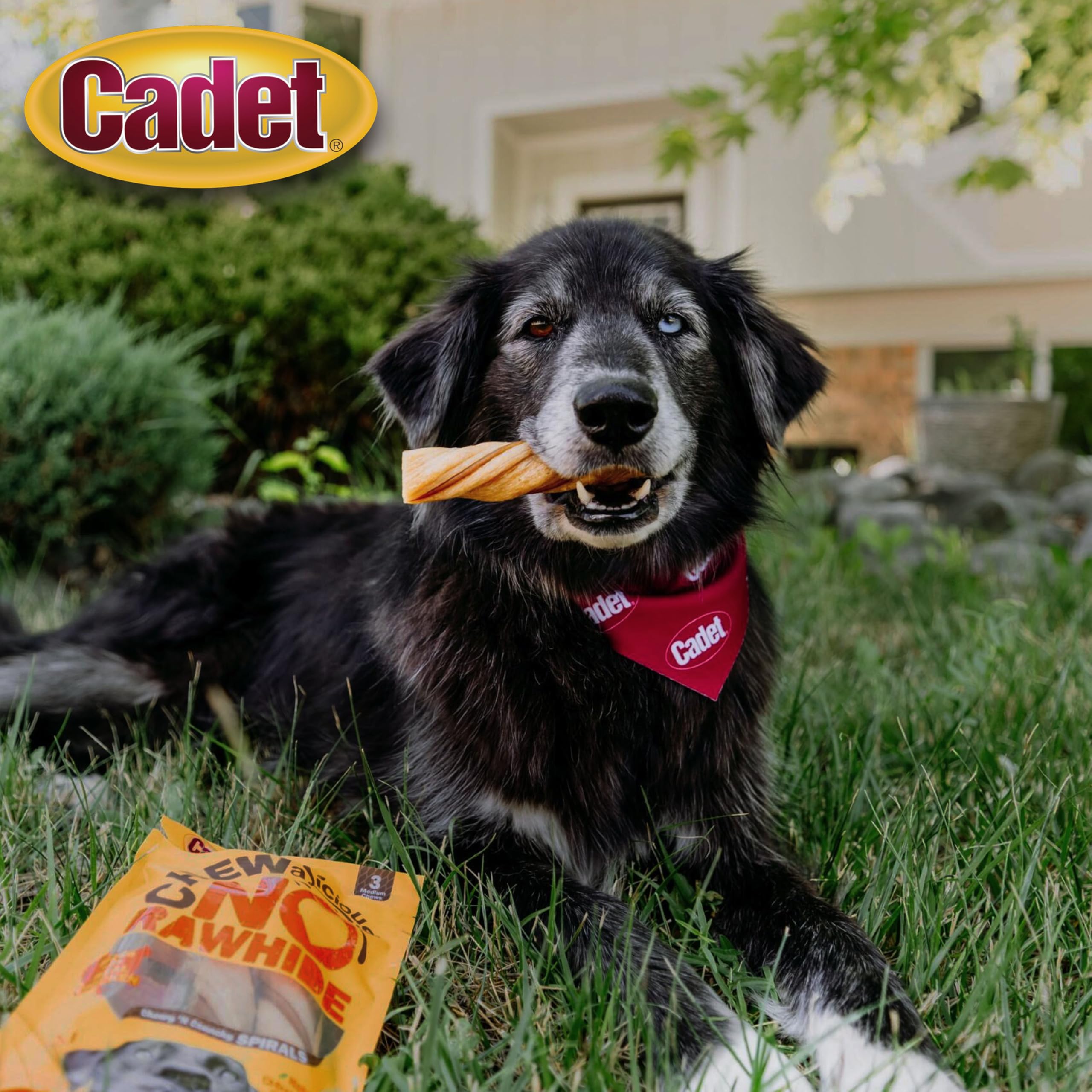 Cadet Chewalicious Chewy N Crunchy Spiral Dog Treats, Limited Ingredient, Rawhide-Free, Long-Lasting Chews for Dogs Made with R