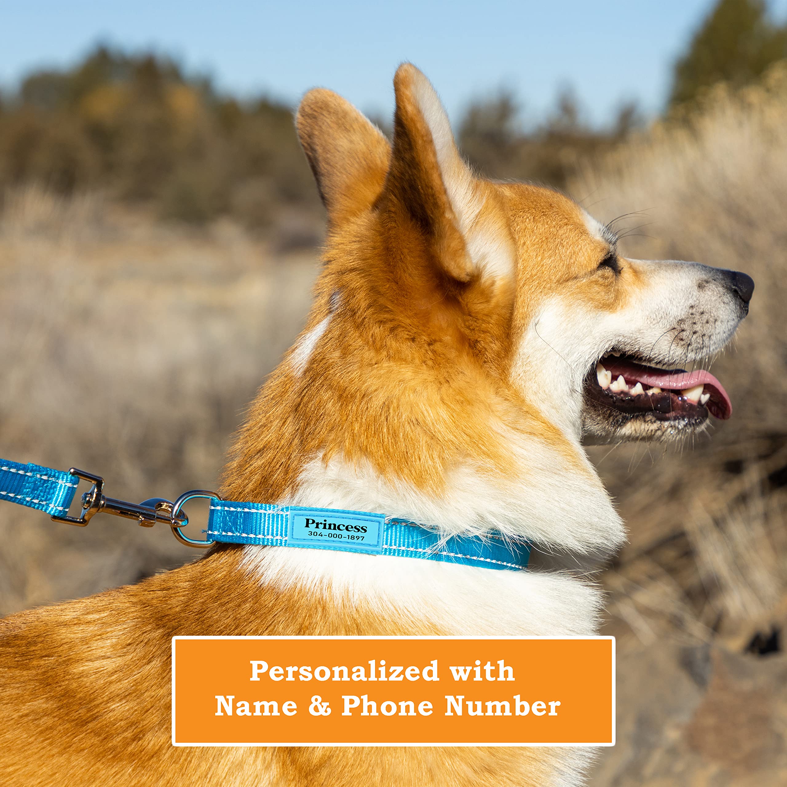 PAWBLEFY Personalized Reflective Dog Collar - Adjustable Nylon, Small to Large, 4 Colors (Blue, Pink, Orange, Black), Model CWBD-ad2484