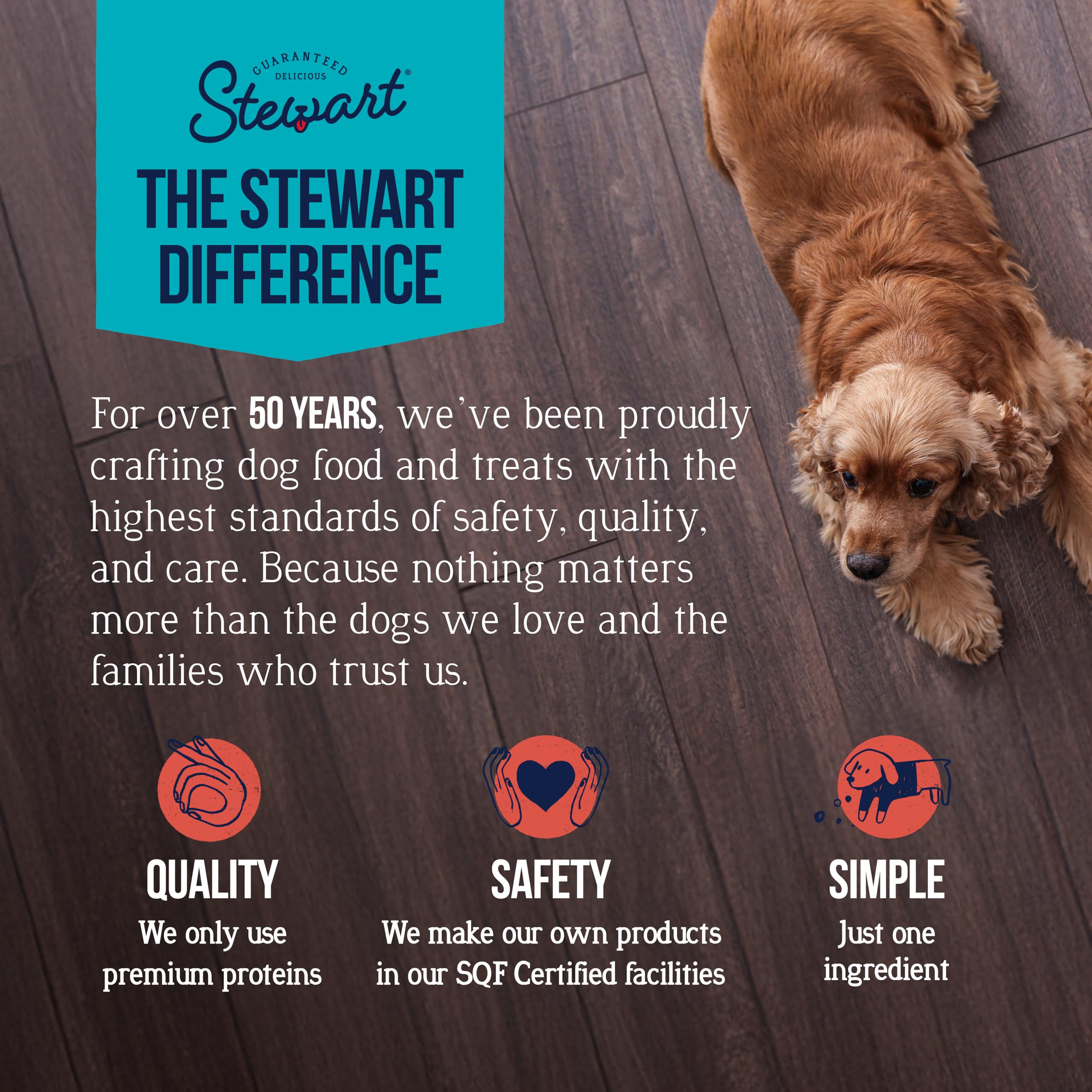 Stewart Single Ingredient Freeze Dried Raw Dog Treats, Beef Liver, 4 Ounce Resealable Tub, Training Treats or Meal Topper Dogs,