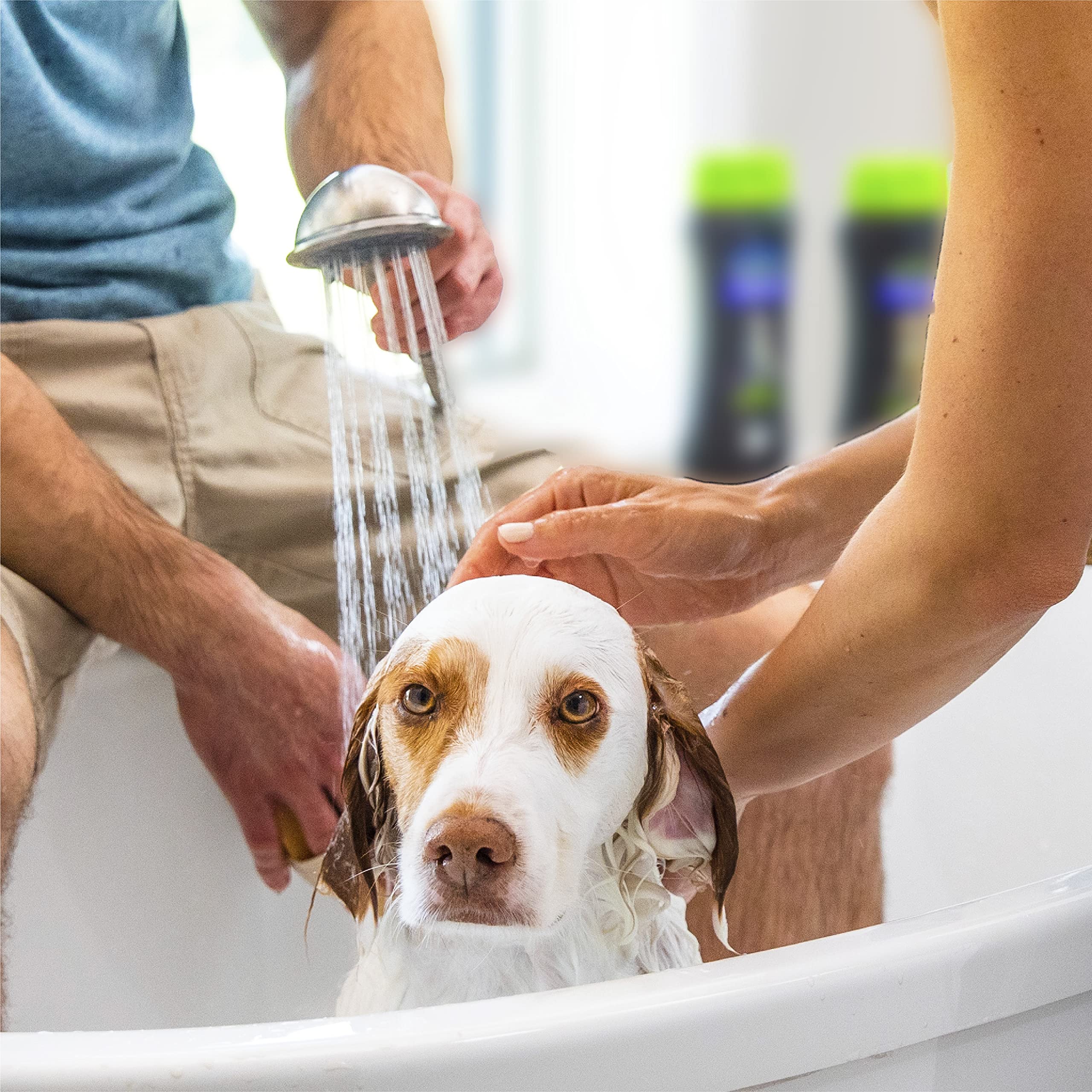 Furminator Deshedding Kit, Deshedding Shampoo, Deshedding Conditioner, Deshedding Waterless Spray, For Dogs, 40.5 Oz (Set Of 3)