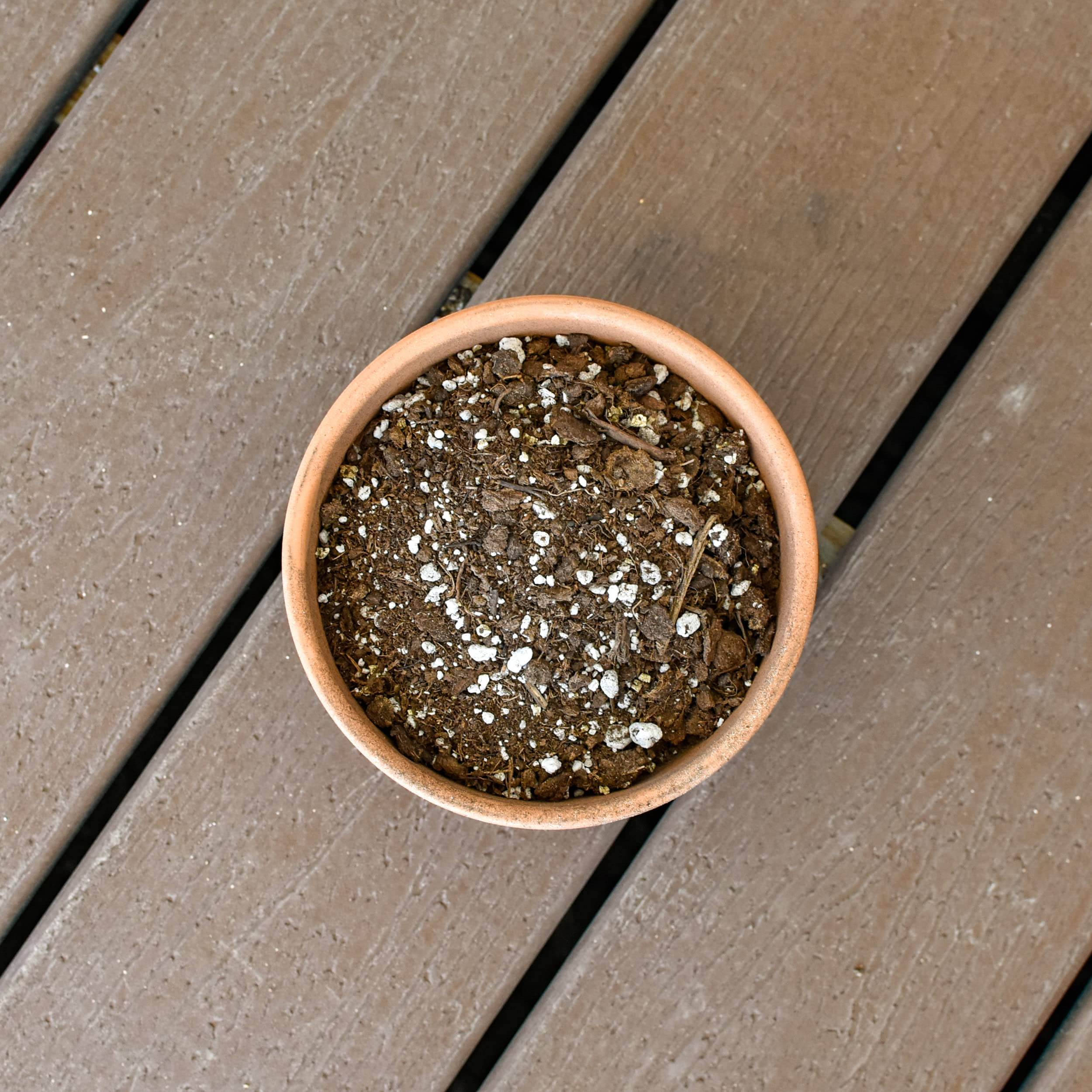 Citrus Tree Potting Soil Mix (8 Quarts), Special Blend For Indoor Oranges, Lemons, Limes And More
