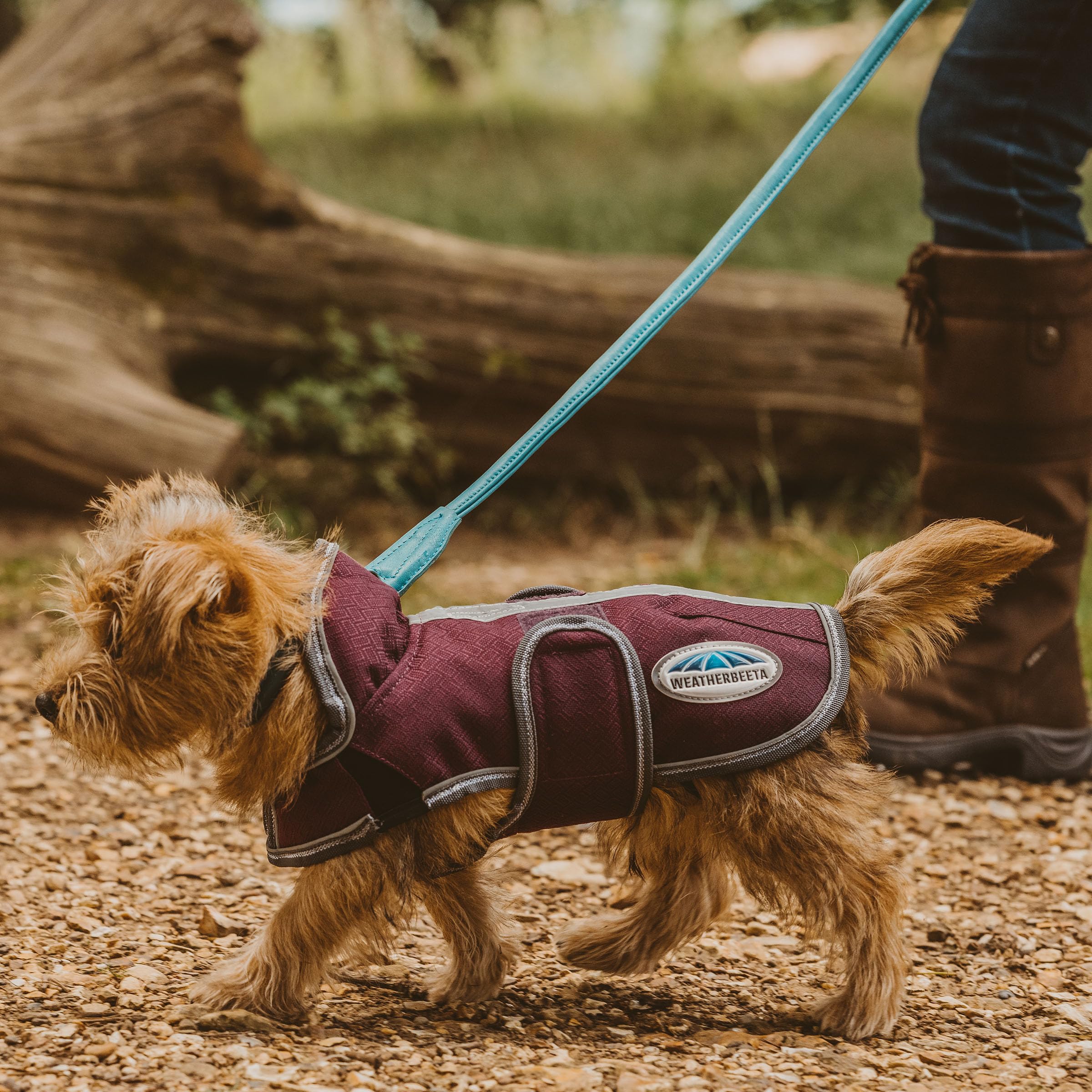 Weatherbeeta Comfitec Premier Free Parka Deluxe Dog Coat Medium, Dark Blue/Grey/White, 32'