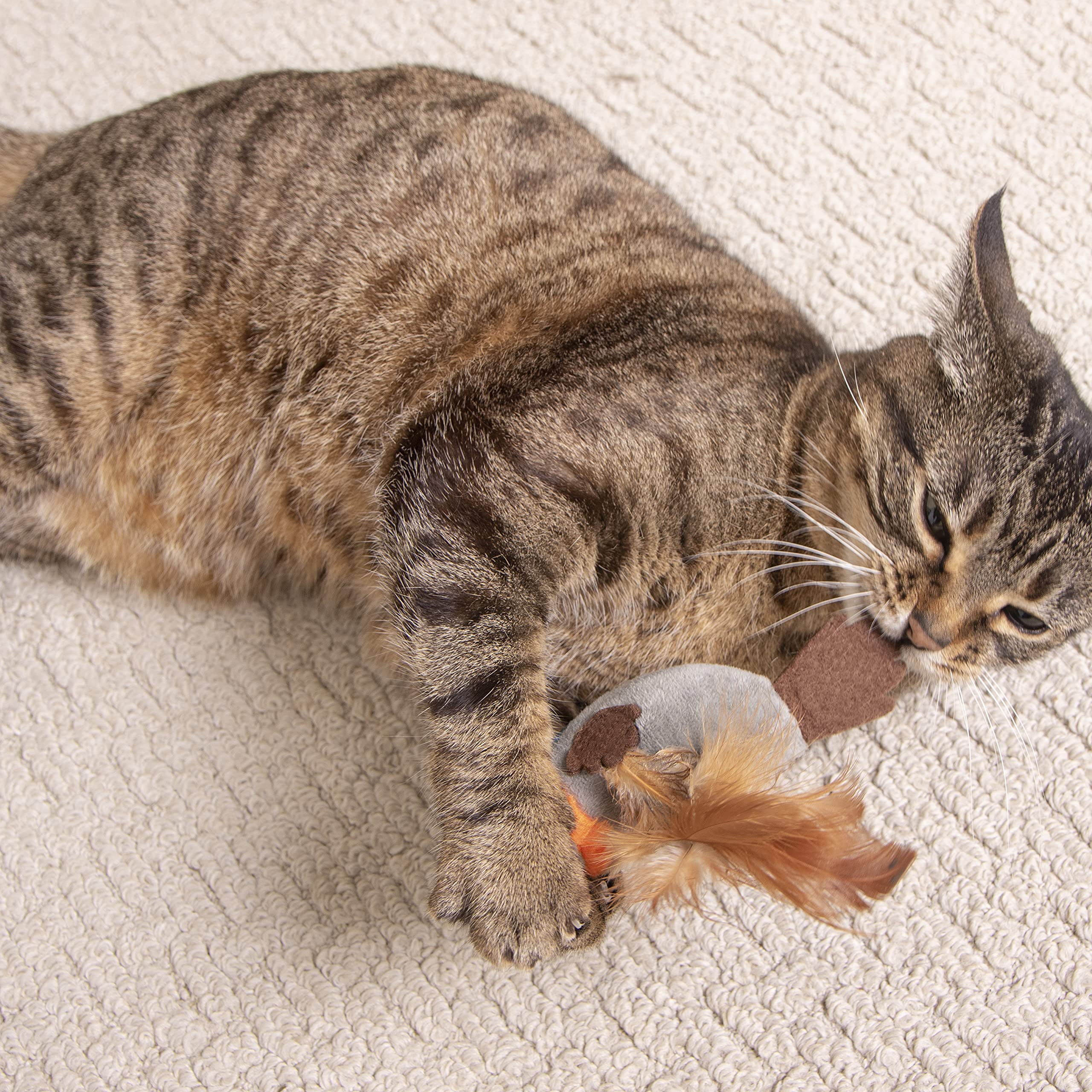 Petlinks Flutter Singer Electronic Sound Cat Toy, Battery Powered - Gray/Blue, One Size