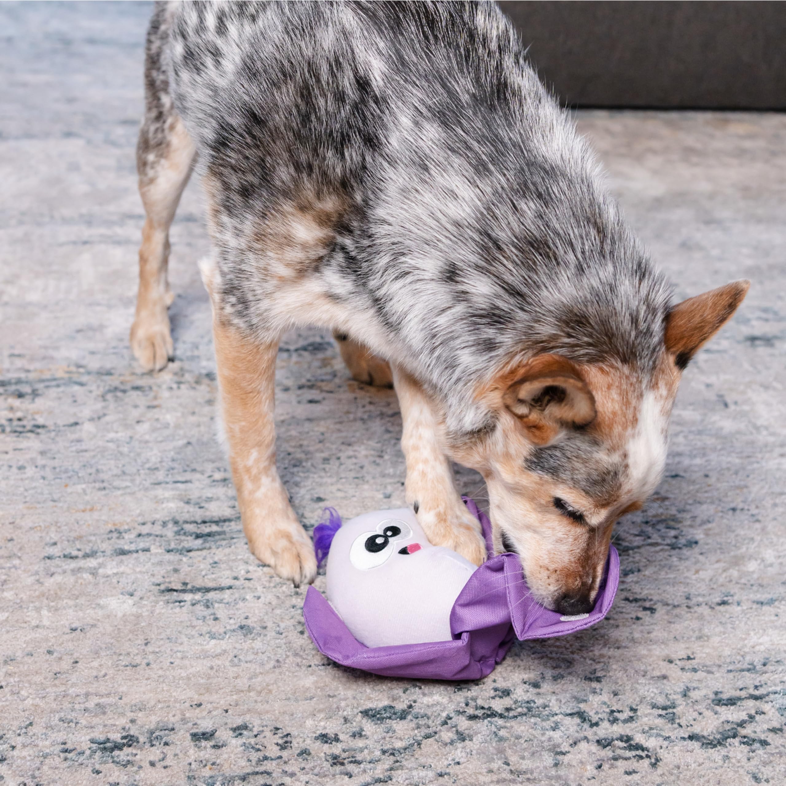 Outward Hound Hide N' Find Interactive Plush Dog Puzzle Toy, Durable, Cauliflower, Purple, Model 71613