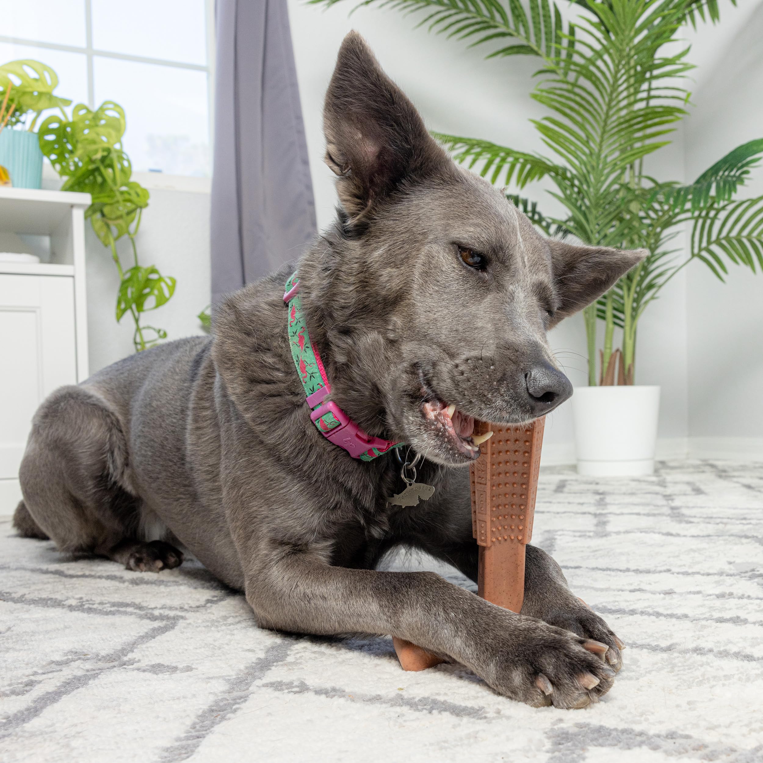 Spot Bam-Bones Plus T Bone - Bamboo Fiber & Nylon, Durable Long Lasting Dog Chew For Aggressive Chewers – Toy For Dogs & Puppies Under 90Lbs, Non-Splintering, 7In, Allergen Free Peanut Butter Flavor