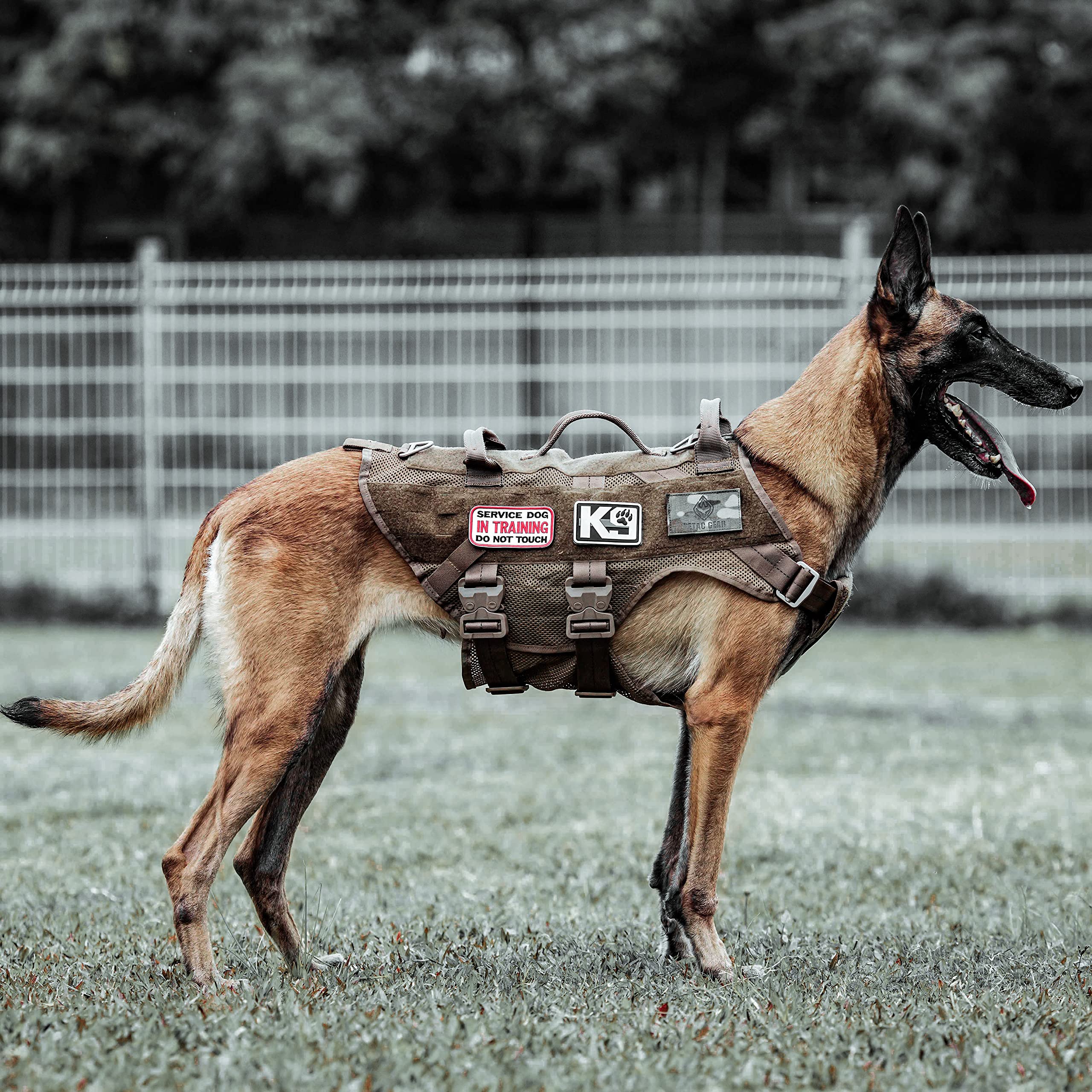 Petac Gear Tactical Dog Harness No Pull For Large Working Dogs Military Dogs Vest Police Service Training Dogs Molle Harnesses With Handle (Cb, L)