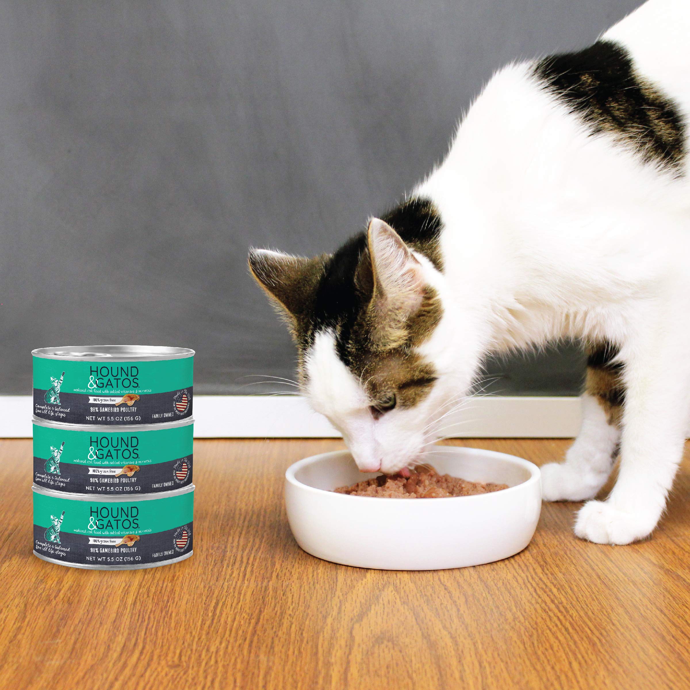 Hound & Gatos Wet Cat Food, 98% Poultry & Gamebird, Grain Free Pate Cat Food, Real Meat, High Protein, Limited Ingredients, No A