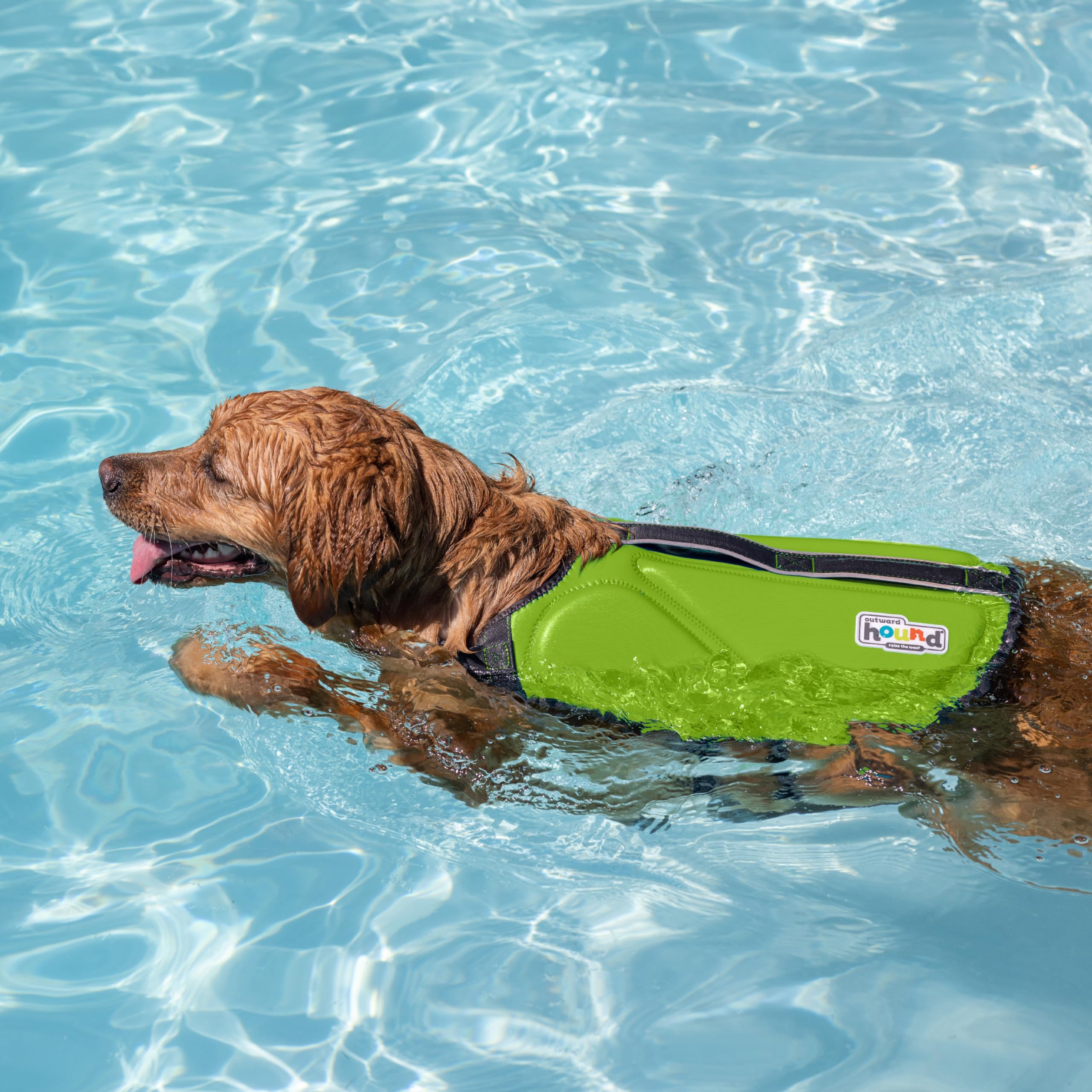 Outward Hound Dawson Swim Green Dog Life Jacket, Medium