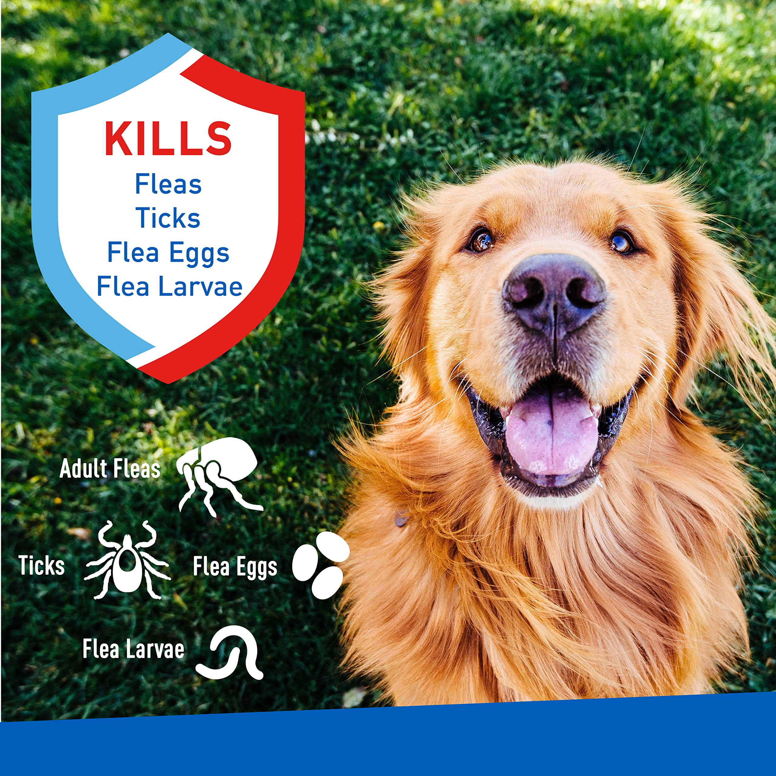 ADAMS Plus Flea & Tick Spray with Precor for Dogs and Cats; Kills Fleas, Flea Eggs, Flea Larvae, Ticks, and Repels Mosquitoes fo