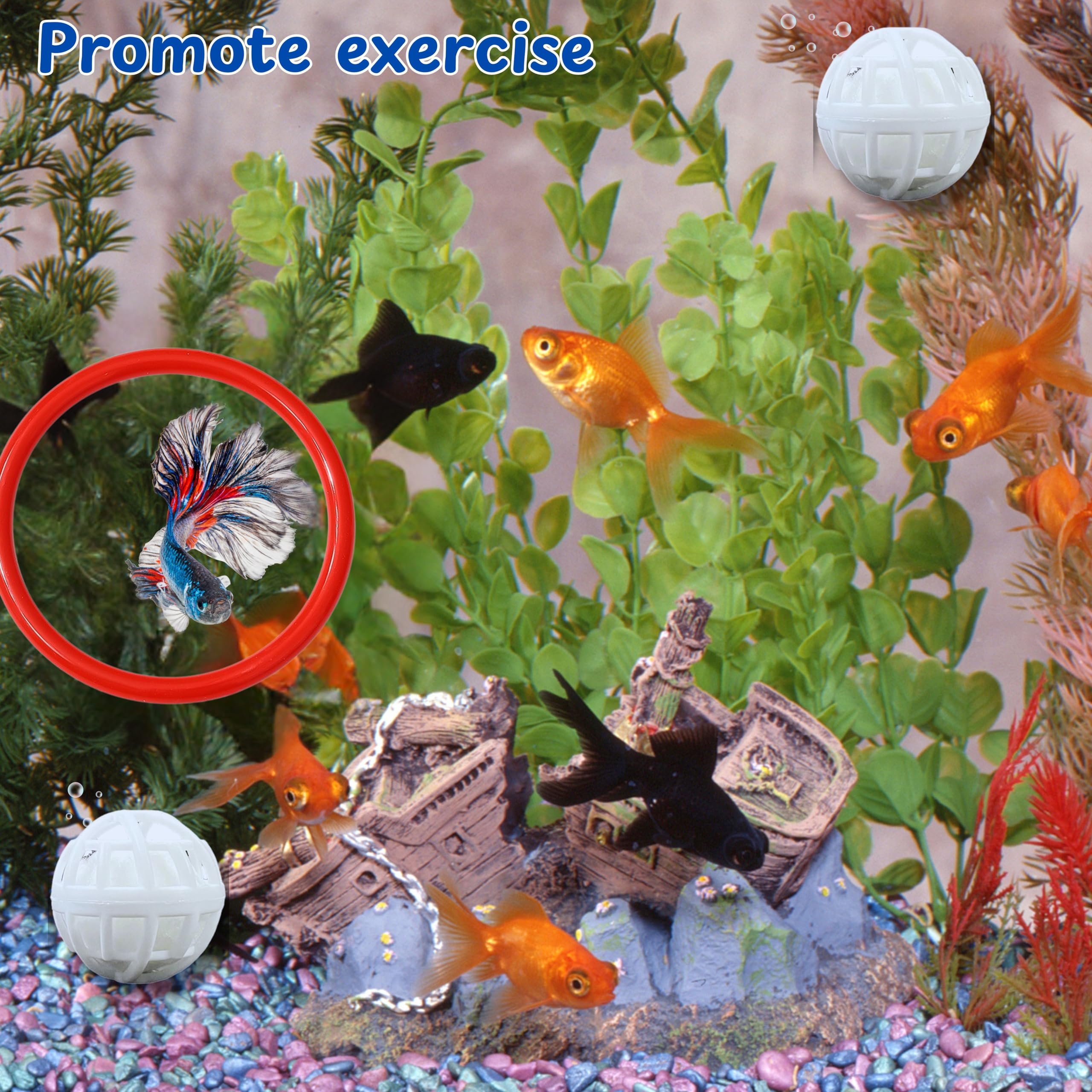 Betta Fish Exercise Ring And Filter Balls Set, Betta Ring And Turtle Water Cleaner Ball, Fish Feeder Rings With Nitrifying Balls