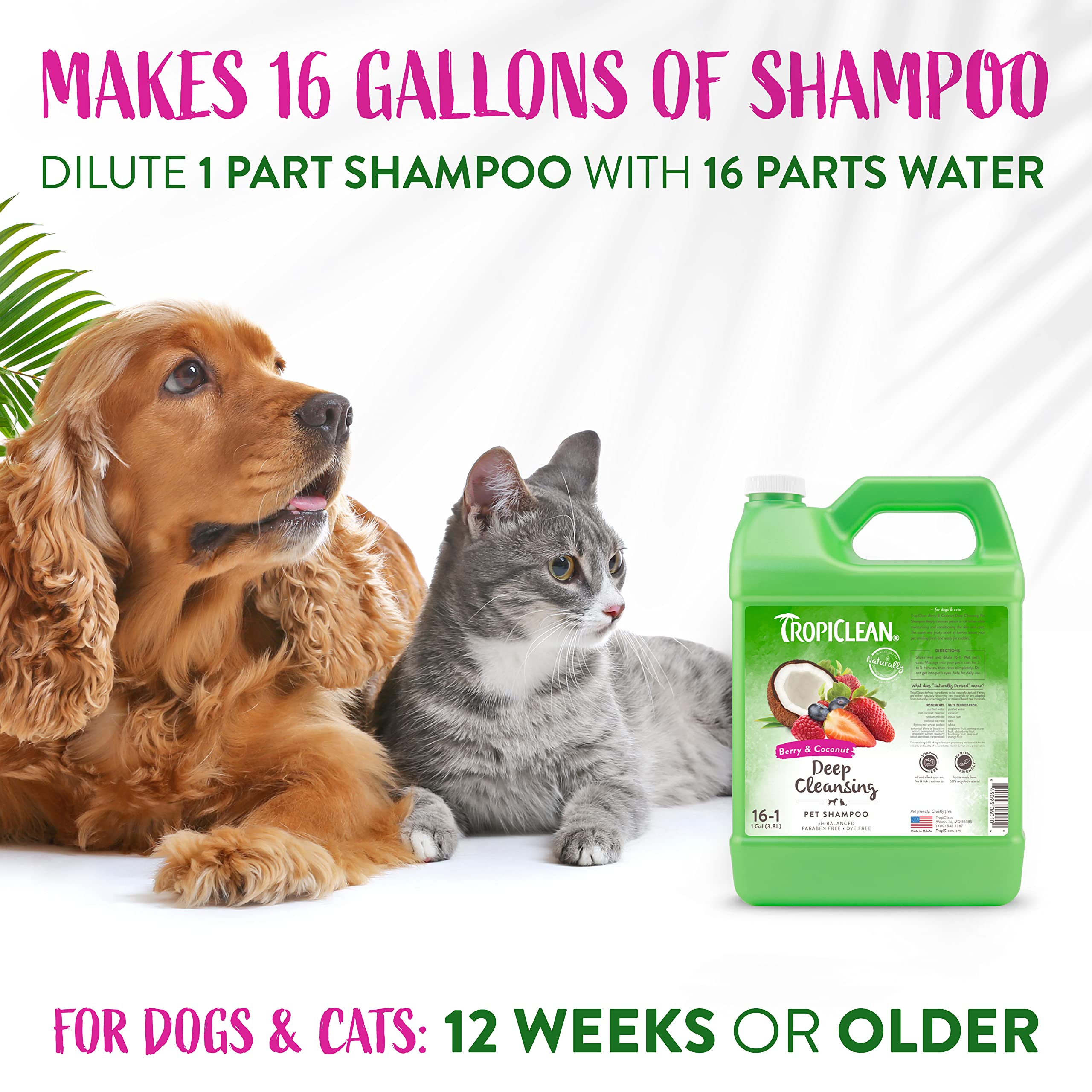 Tropiclean Deodorizing Dog Shampoo For Smelly Pets, Cat, Puppy & Kitten Safe, Long Lasting Odor Control, Berry Scent, Made In The Usa, 1 Gallon