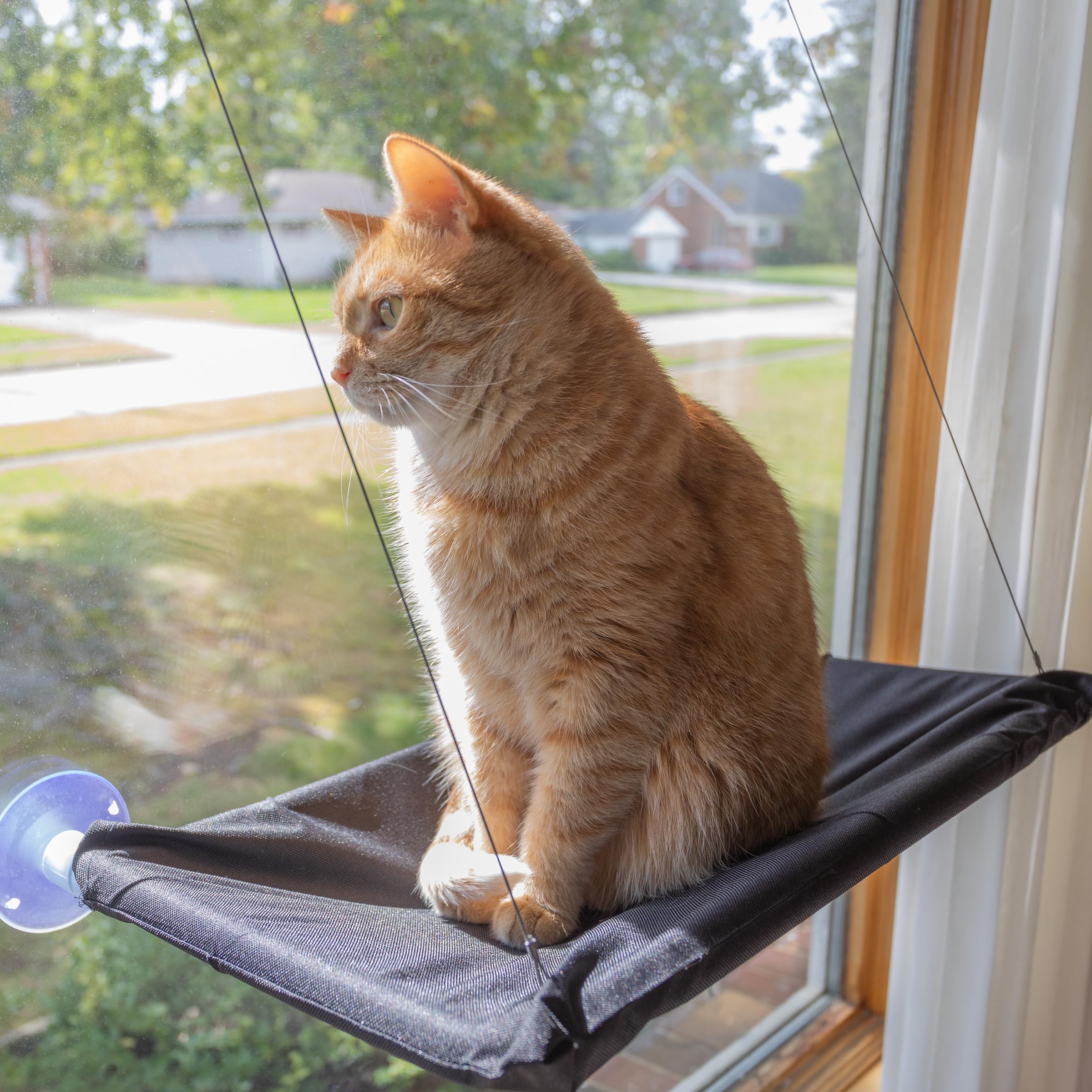 Cat Window Perch - Cat Window Hammock With Strong Suction Cups And Removable Machine Washable Oxford Cloth Cat Bed For Large Cat