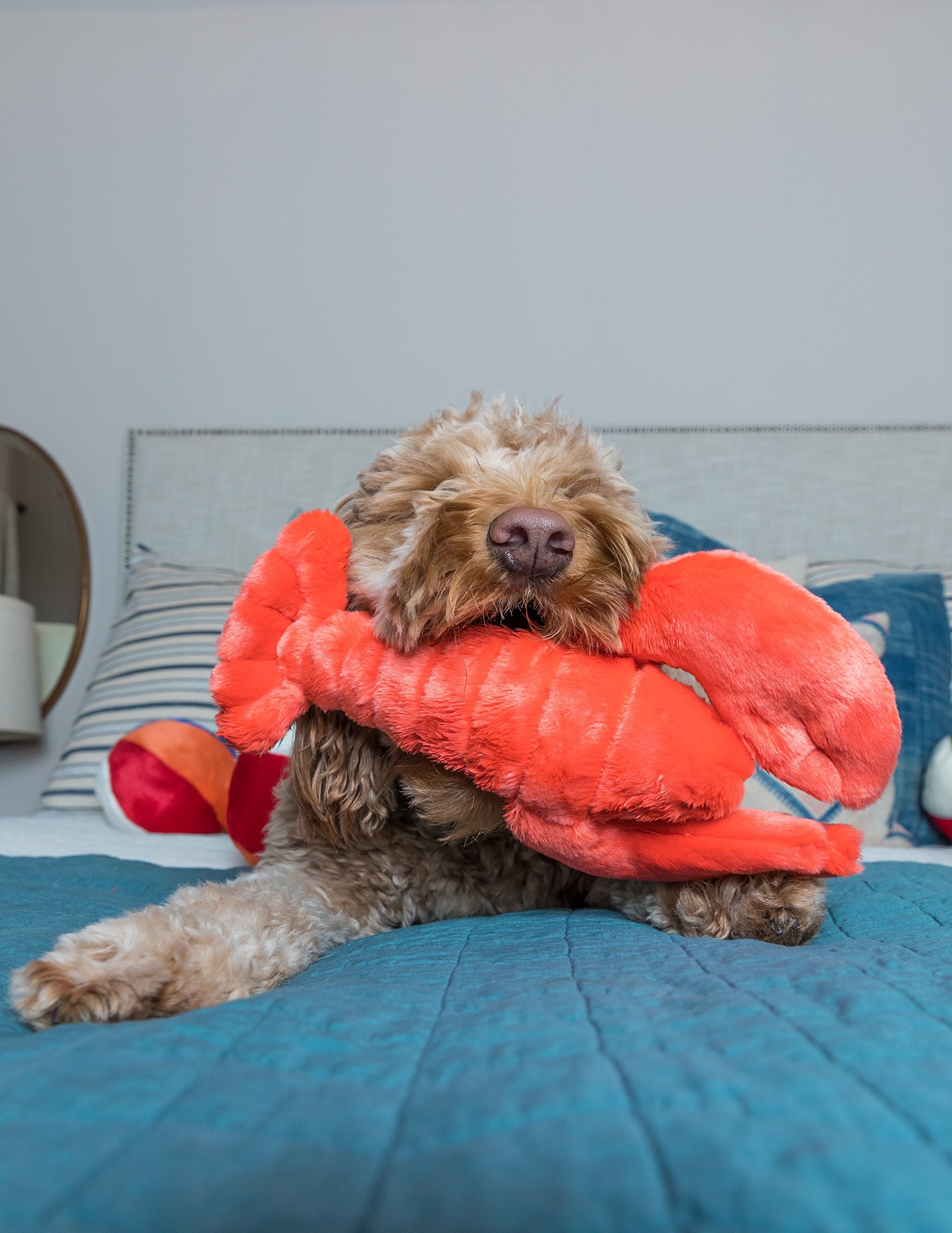 Fluff & Tuff Manny Lobster